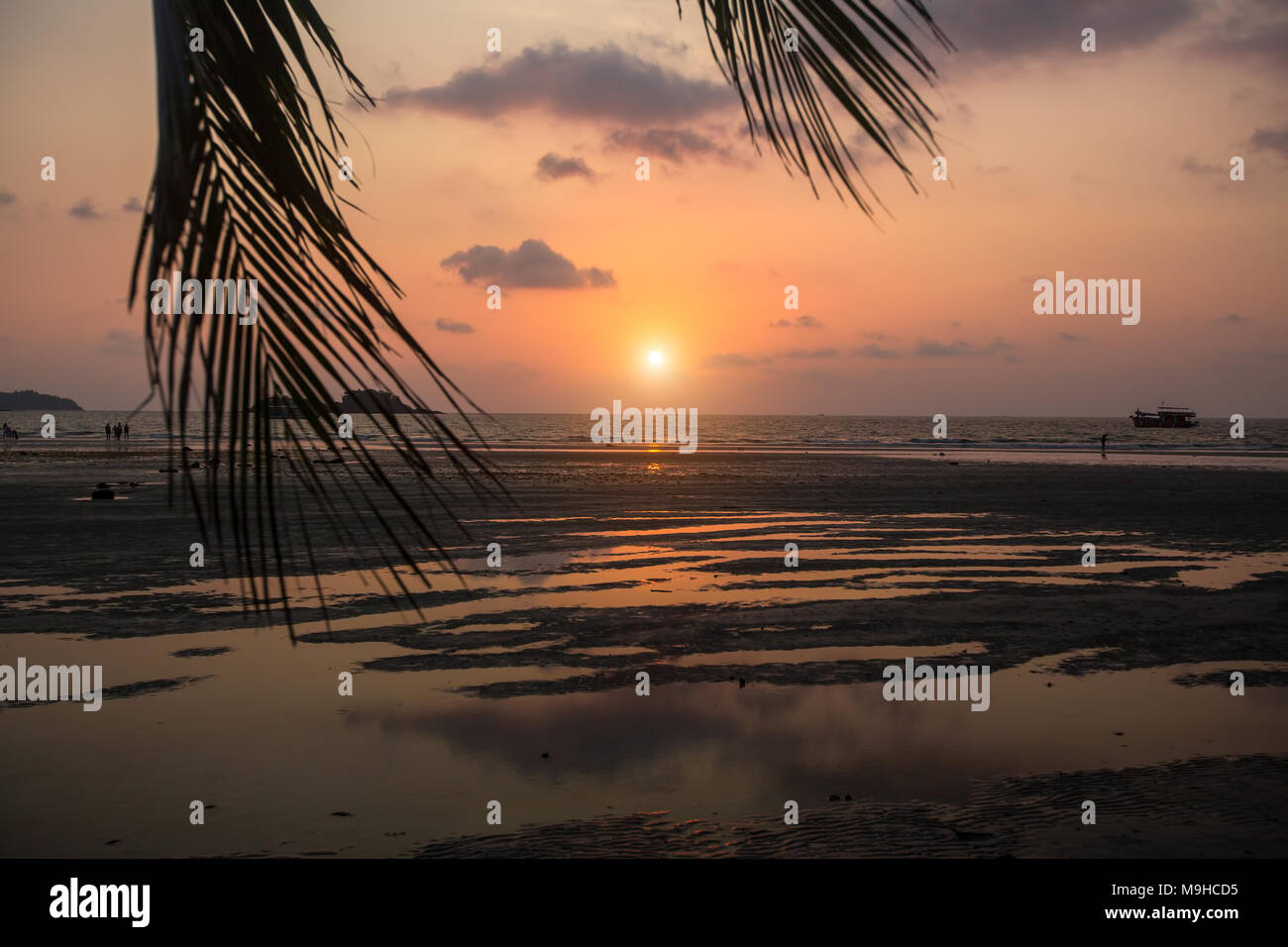 Mer Plage à travers les feuilles de palmier au cours incroyable coucher du soleil. Banque D'Images