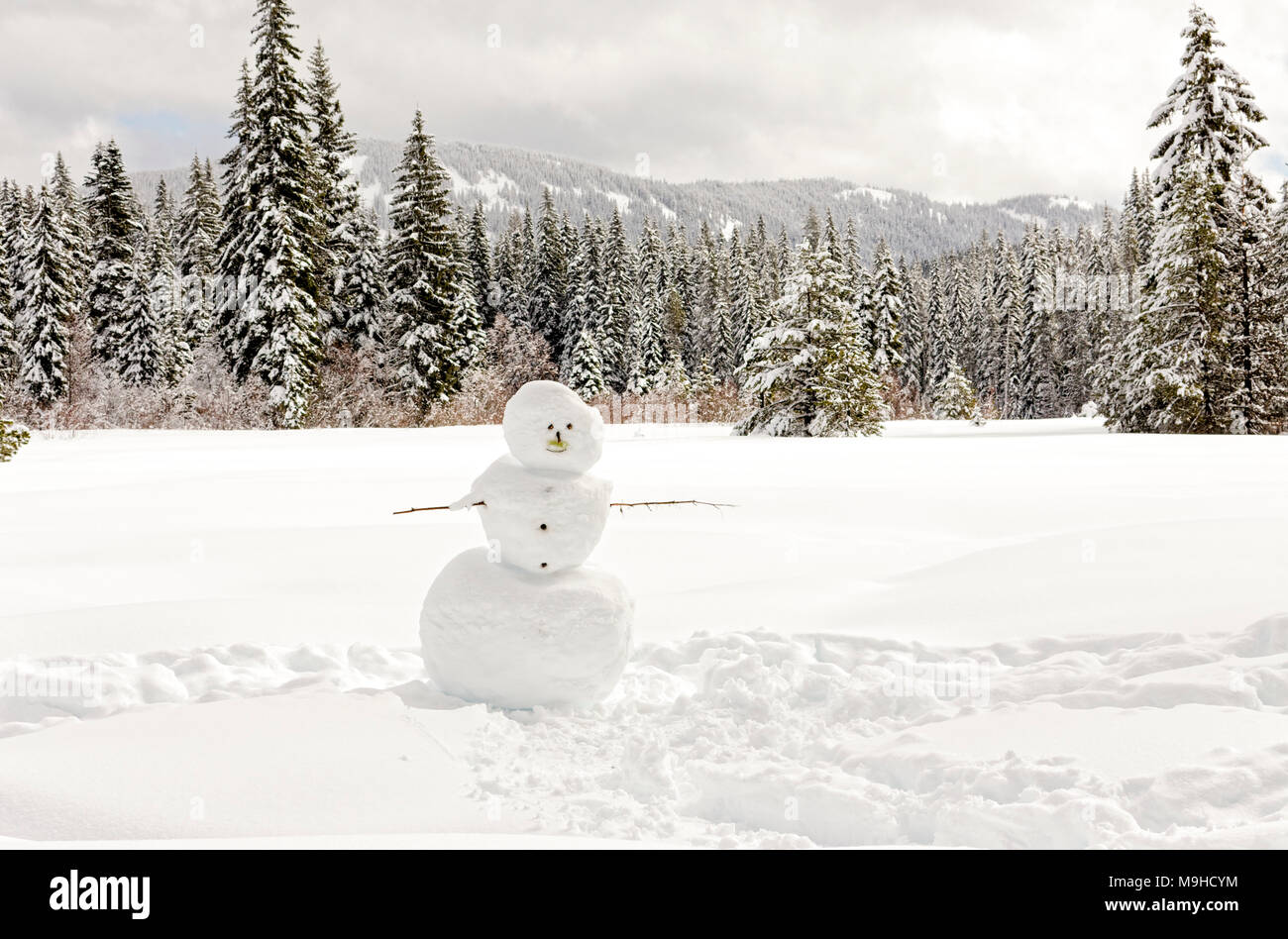 43 160,09738 bonhomme de neige dans une grande prairie couverte entourée par une forêt de conifères et de montagnes rocheuses Banque D'Images