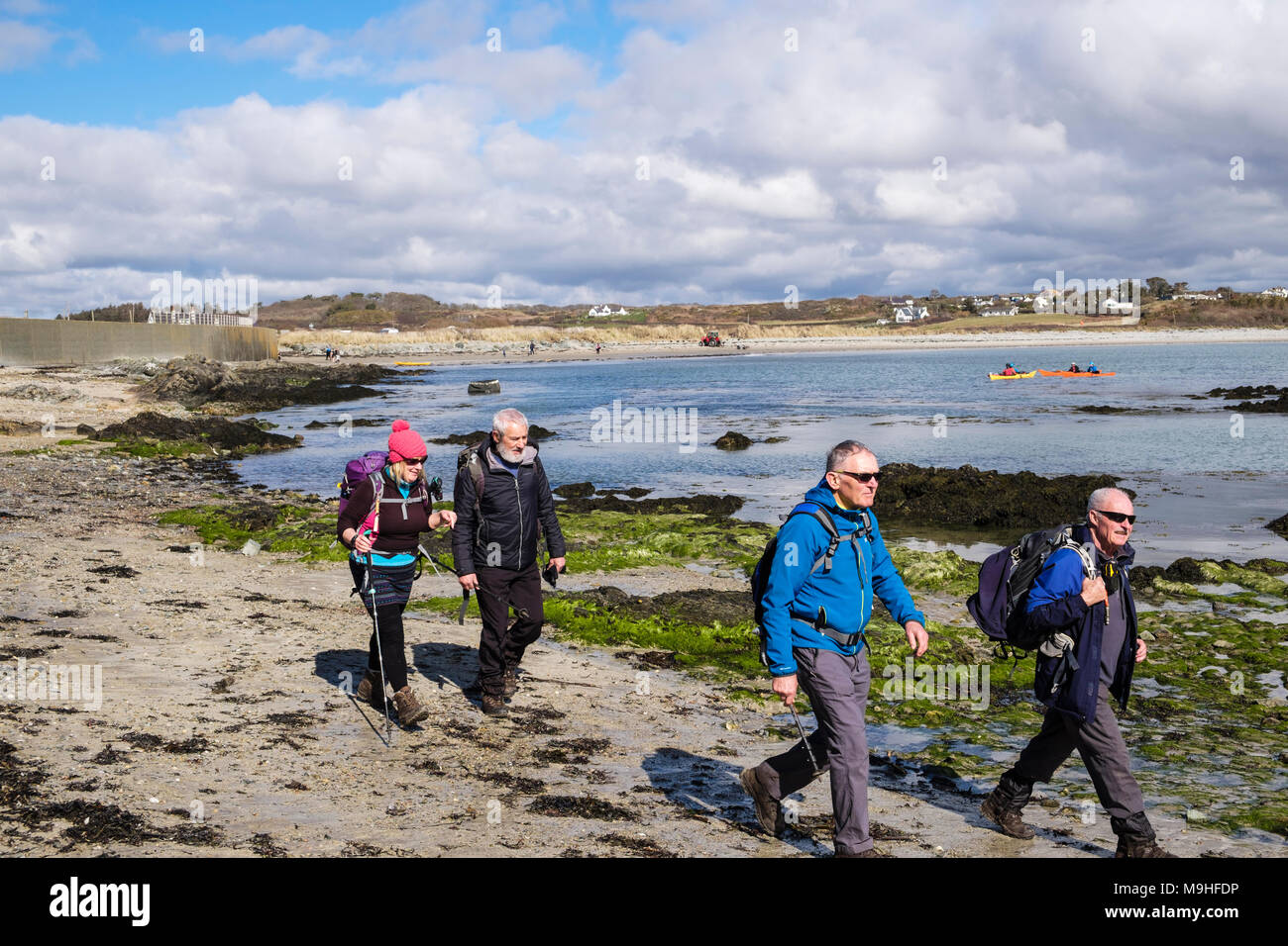 Groupe de randonneurs randonnées autour de Borthwen Bay sur l'île d'Anglesey sentier côtier. Rhoscolyn, Holy Island, île d'Anglesey, au Pays de Galles, Royaume-Uni, Angleterre Banque D'Images