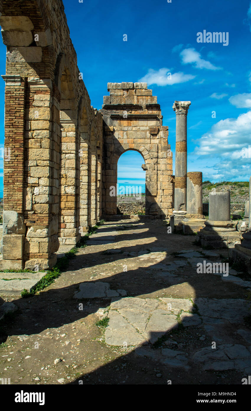 Les ruines romaines de Volubilis Maroc Banque D'Images