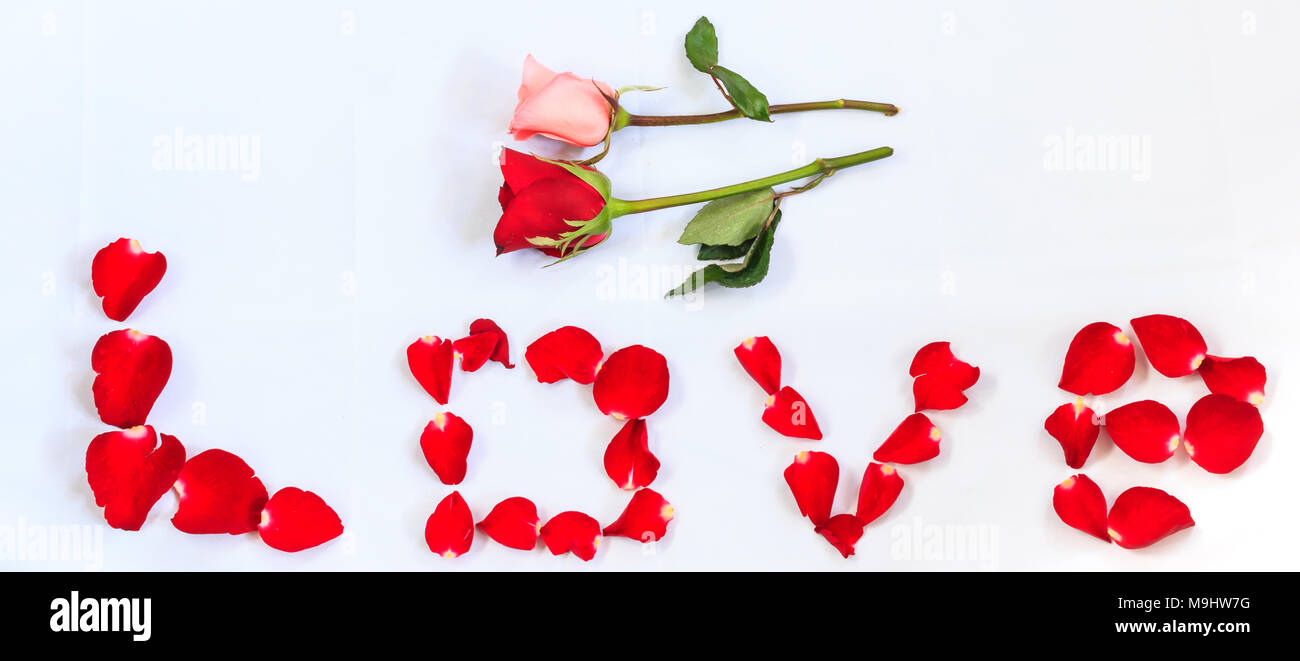 Rose rouge et rose et le mot amour écrit avec des roses rouges sur fond  blanc parfait pour la Saint-Valentin Photo Stock - Alamy
