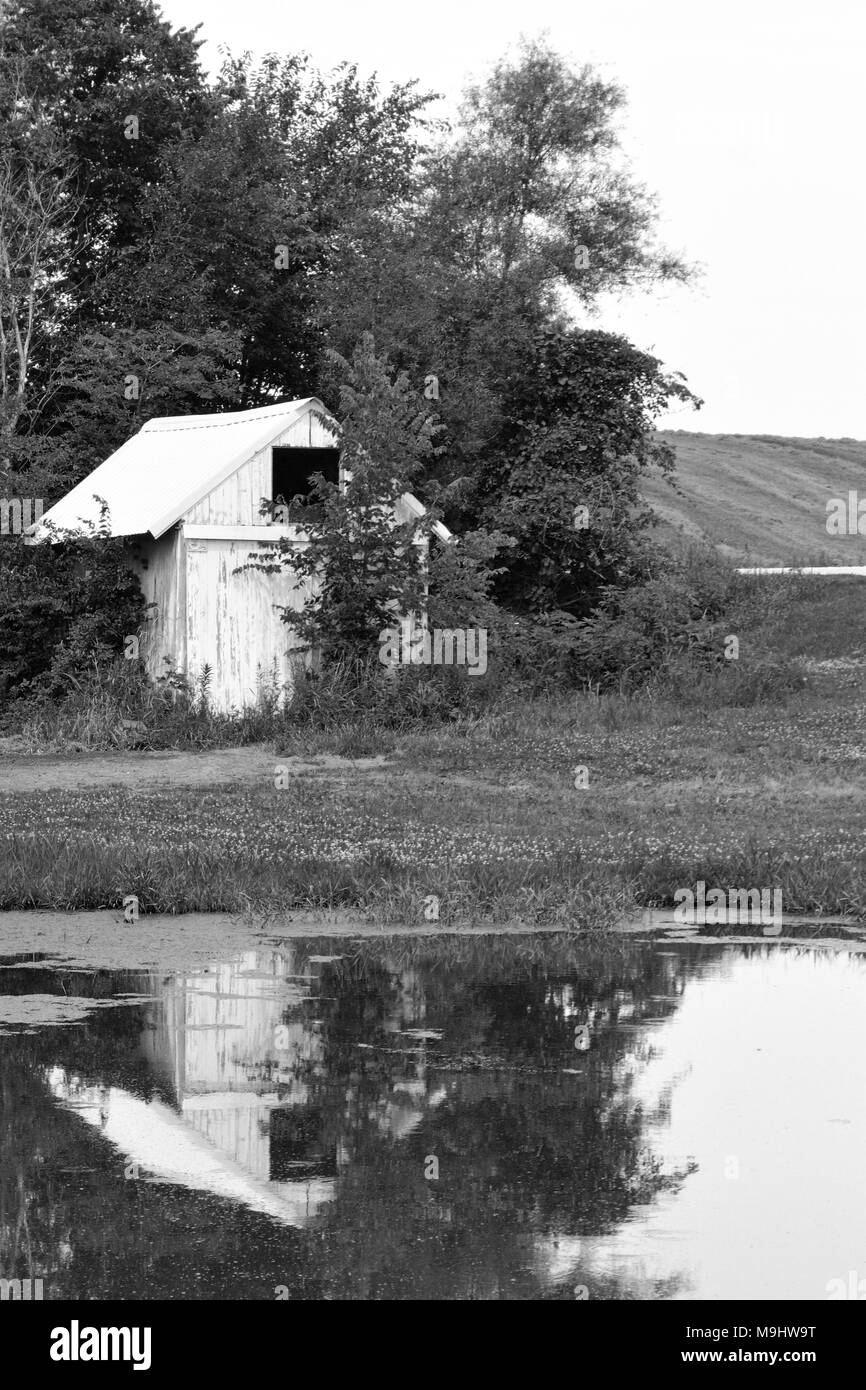 Le noir et blanc Faire Réflexion sur une grenouille dans l'étang de l'Iowa rural Banque D'Images
