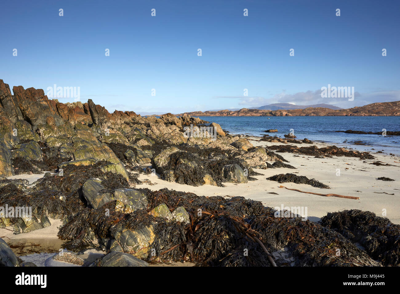 Un après-midi ensoleillé de février. Au nord-est à travers la baie d';St Ronan et le son d'Iona vers Mull. Avec les berges rocheuses et les algues. Iona Banque D'Images