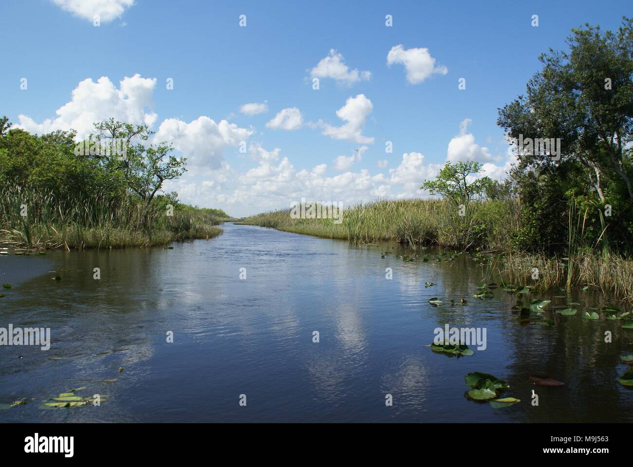 Excursion en bateau dans les Everglades en Floride, météo ensoleillée Banque D'Images