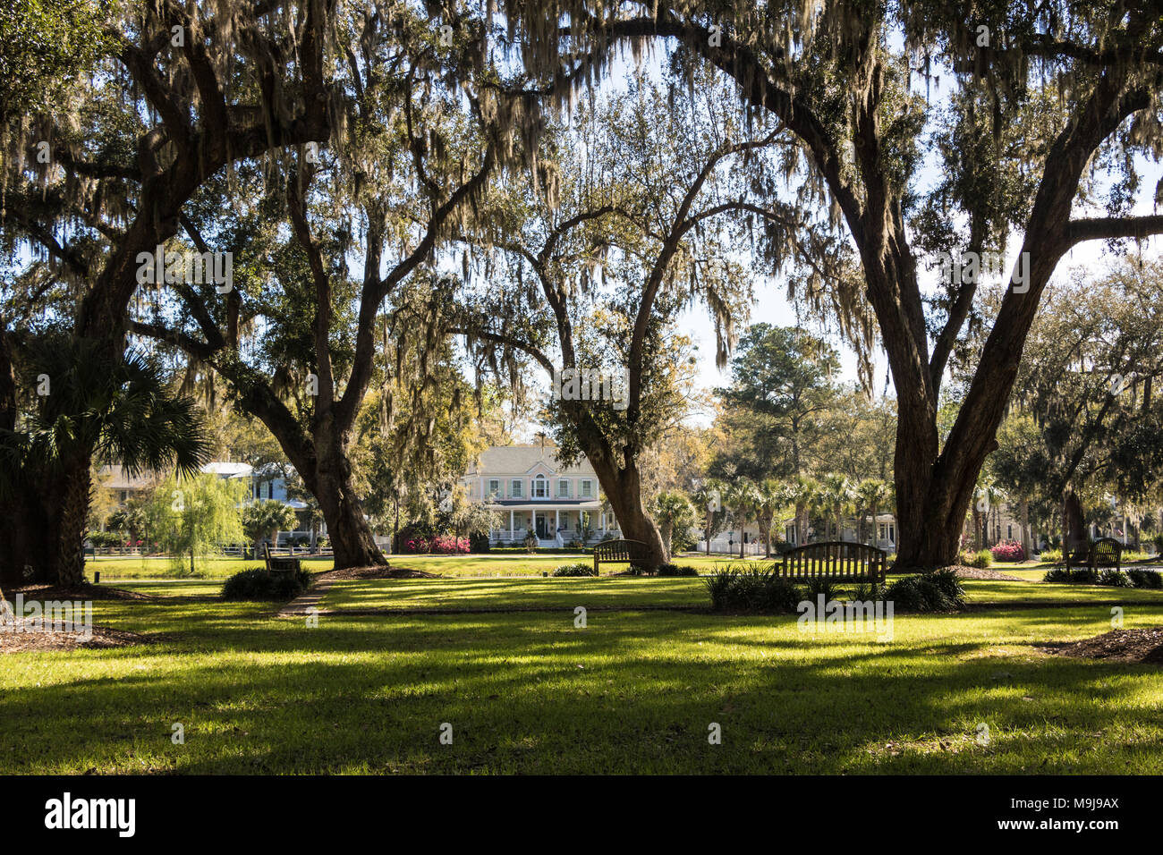 Habersham Park et maisons Banque D'Images