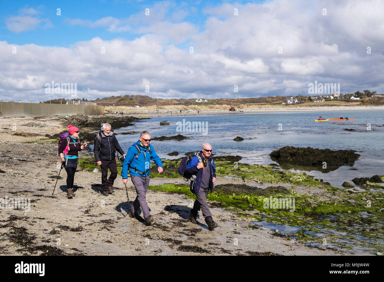 Les randonneurs randonnées autour de Borthwen Bay sur l'île d'Anglesey Coast Path. Rhoscolyn, Holy Island, Anglesey, au nord du Pays de Galles, Royaume-Uni, Angleterre Banque D'Images
