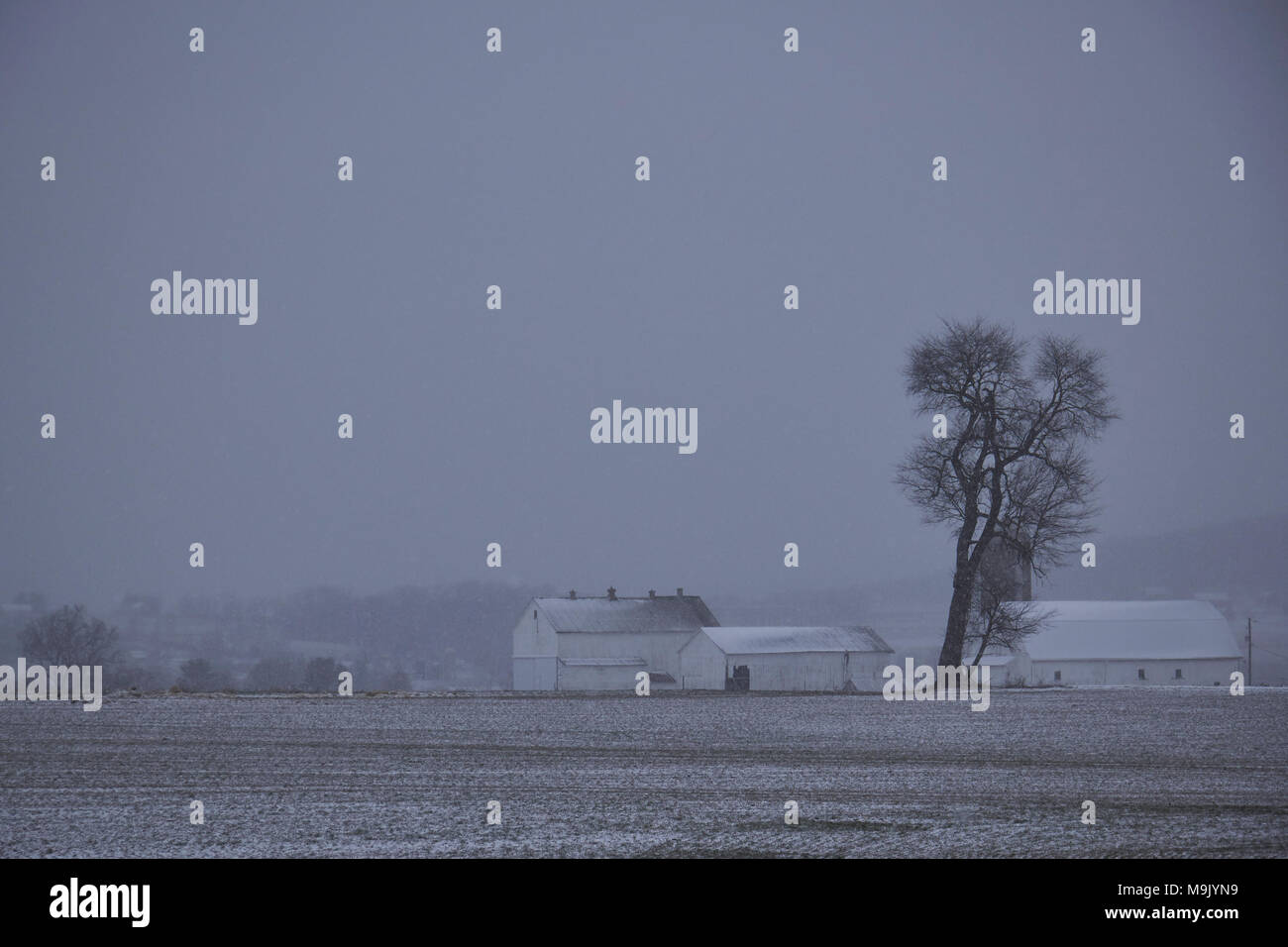 Ferme à la fin de l'hiver la neige, Amish Country, Lancaster, Pennsylvanie, USA Banque D'Images