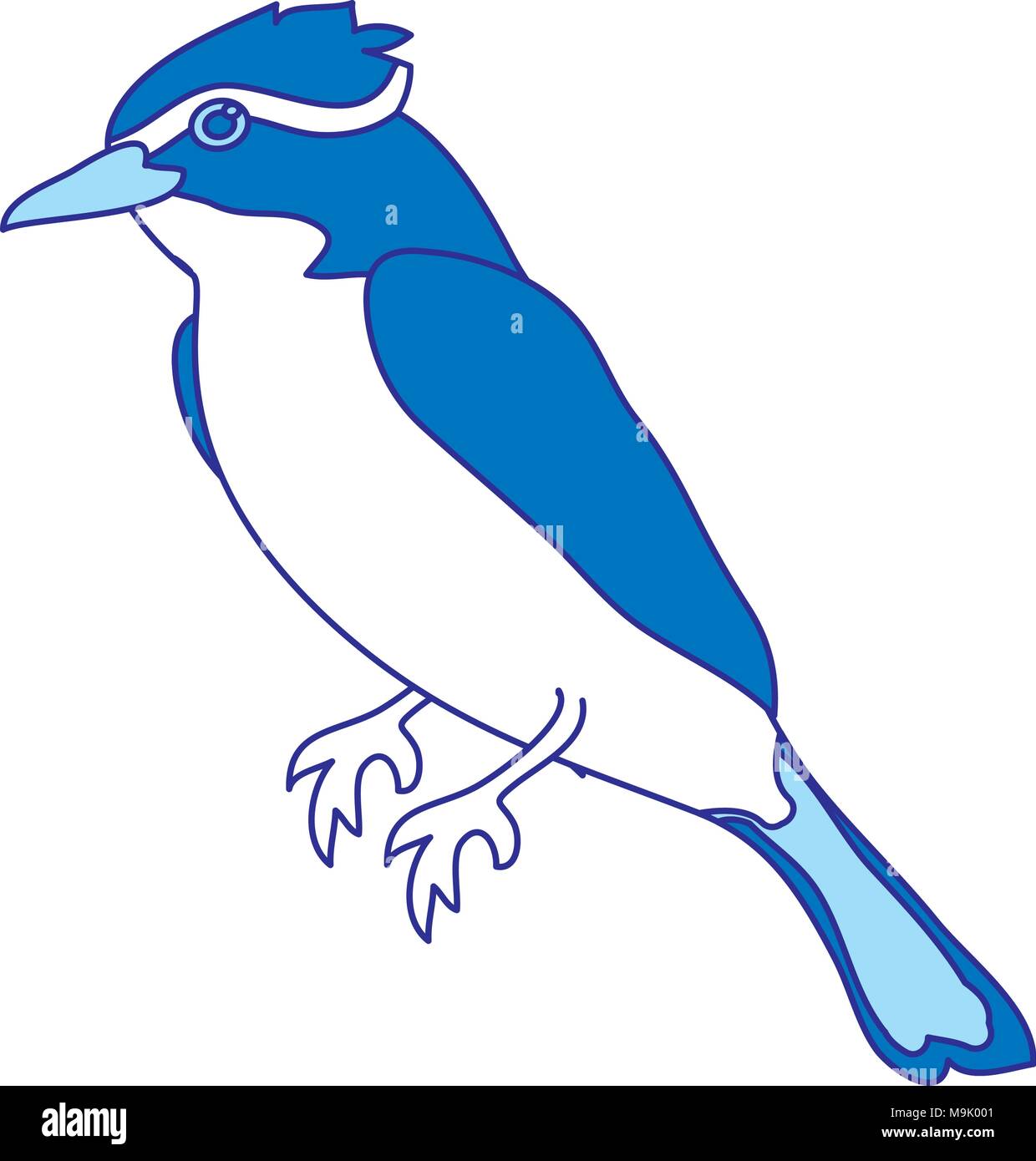 Duo Couleur Mignon Cardinal Rouge Animal Oiseau Vecteurs Et