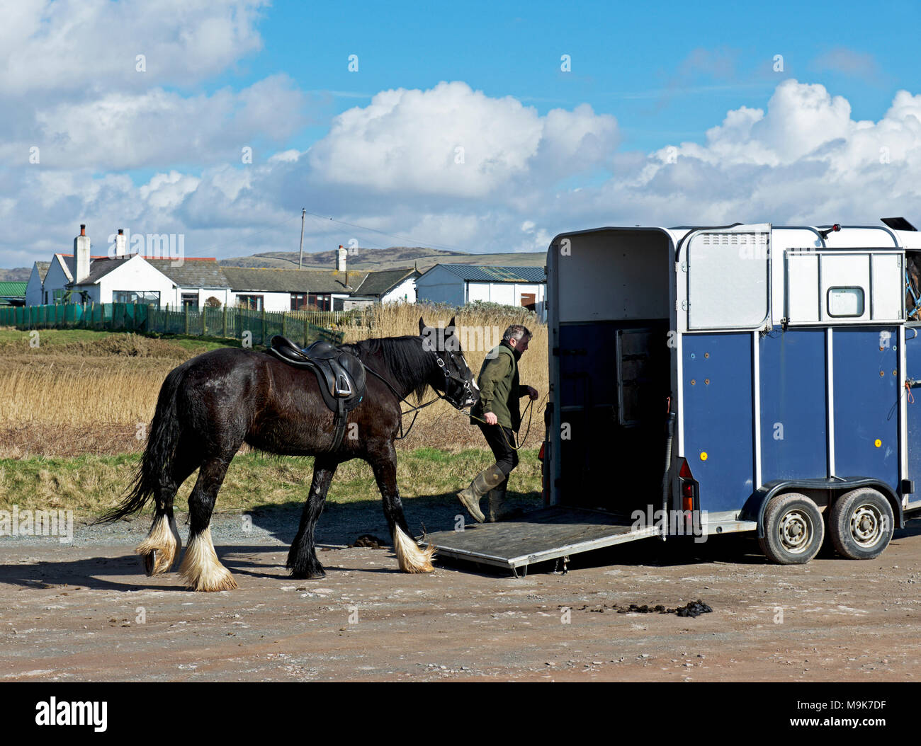 L'homme cheval cheval en premier plan fort, Silecroft, West Yorkshire, England UK Banque D'Images