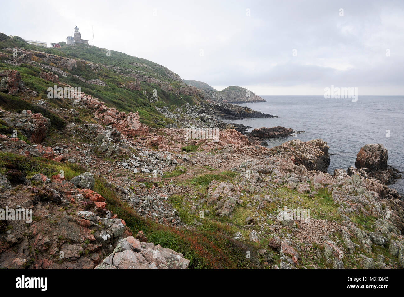 La réserve naturelle de Kullaberg Kullaberg sur une péninsule en Molle, Skane, Sweden. 15 août 2010 © Wojciech Strozyk / Alamy Stock Photo Banque D'Images