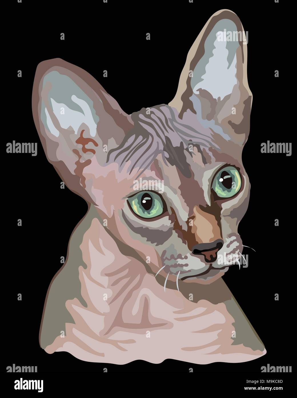 Contour Vectoriel Portrait Colore Sans Poils De Chat Sphynx Curieux En Rose Et Gris Illustration Isole Sur Fond Noir Image Vectorielle Stock Alamy Contour Vectoriel Portrait Colore Sans Poils De Chat Sphynx Curieux En Rose Et Gris Illustration Isole Sur Fond Noir Image Vectorielle Stock Alamy