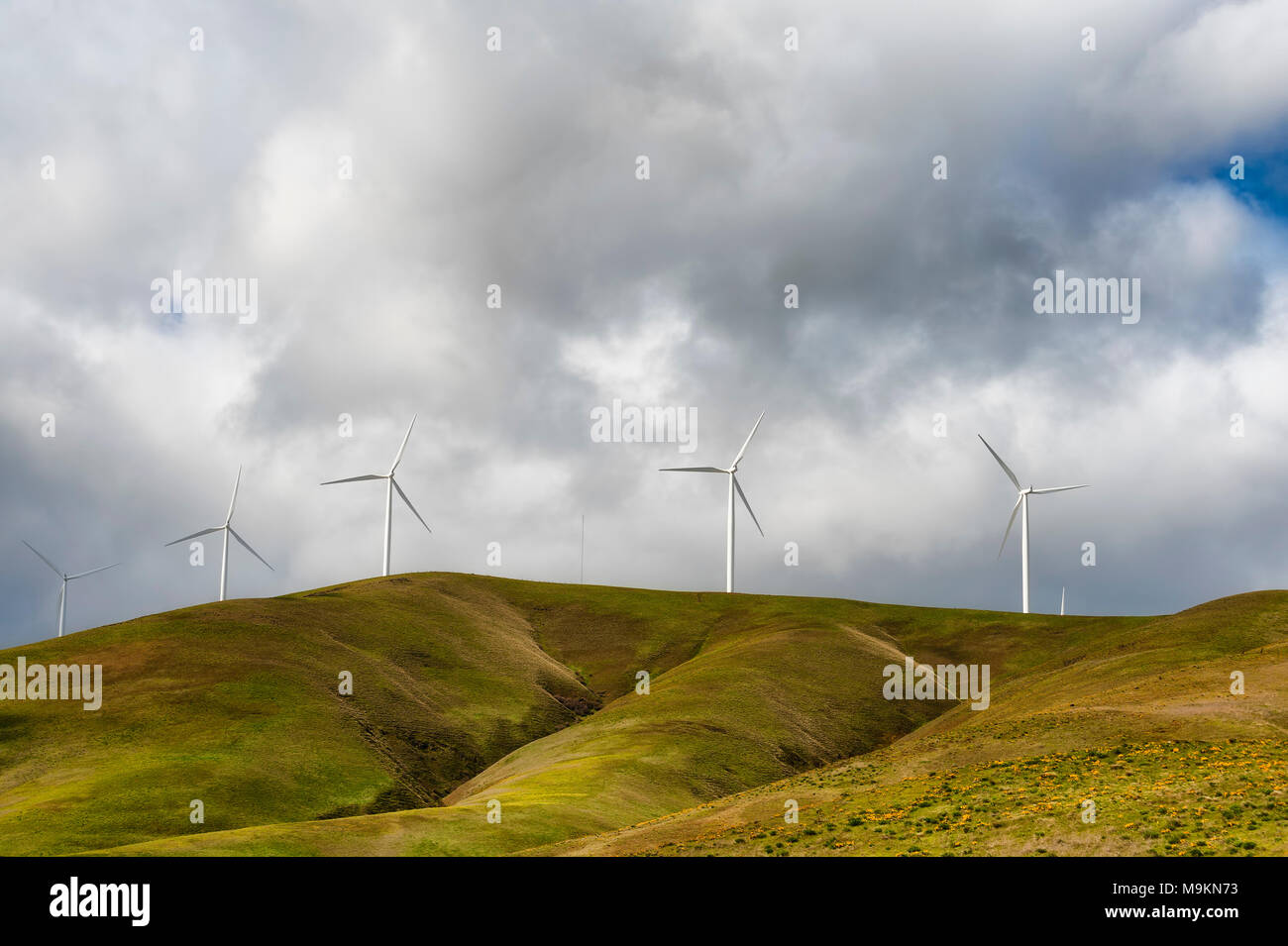 Les éoliennes sont hauts placés et stark contre le haut désert paysage de collines dans la gorge du Columbia Banque D'Images