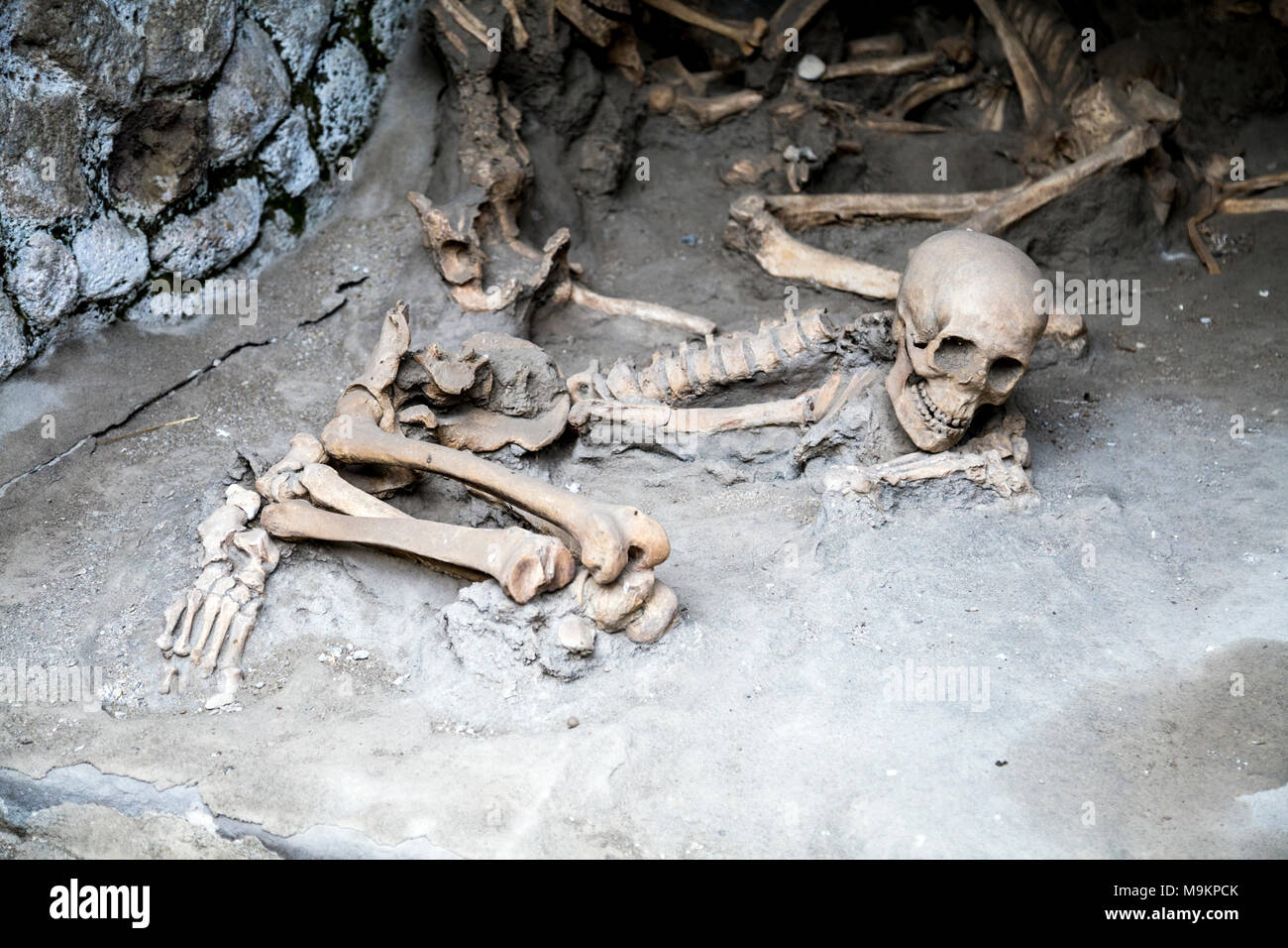 Des squelettes et des os des victimes d'une éruption volcanique en 79annonce dans la ville romaine de Herculanum, Italie Banque D'Images
