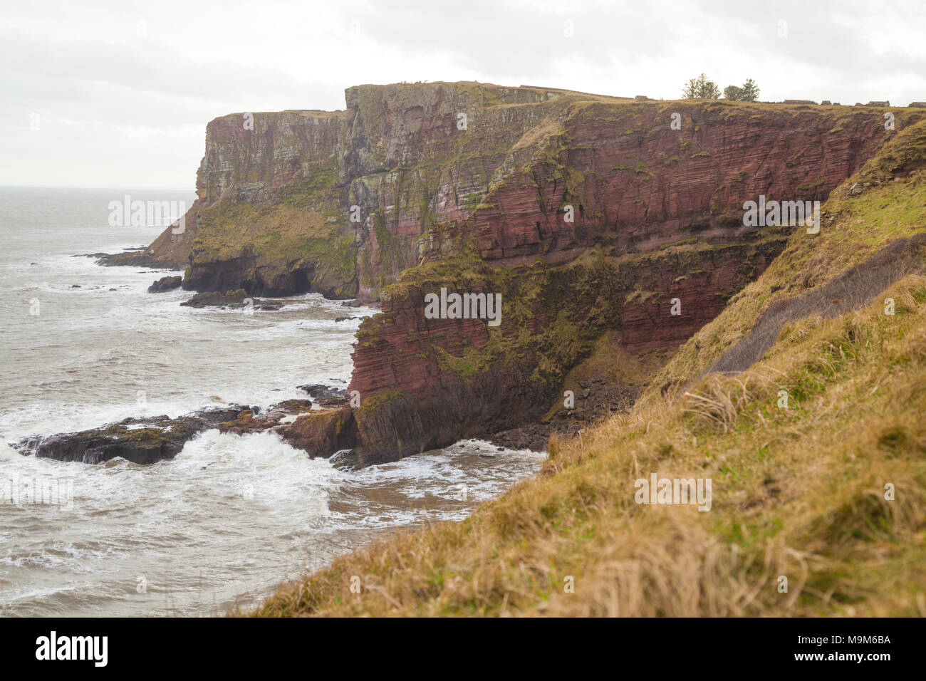 Red Head Cliff point le plus élevé le long de la côte, l'Ecosse Angus Banque D'Images