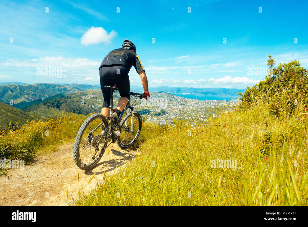 Velo wellington outlet