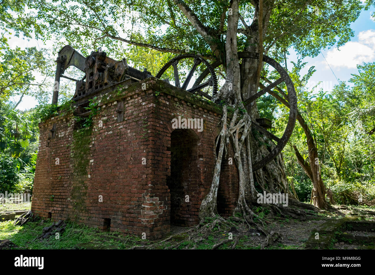 Des outils et des restes d'usine de transformation du sucre à partir d'un vieux moulin datant du milieu du 19ème siècle à Lamanai, Belize Banque D'Images