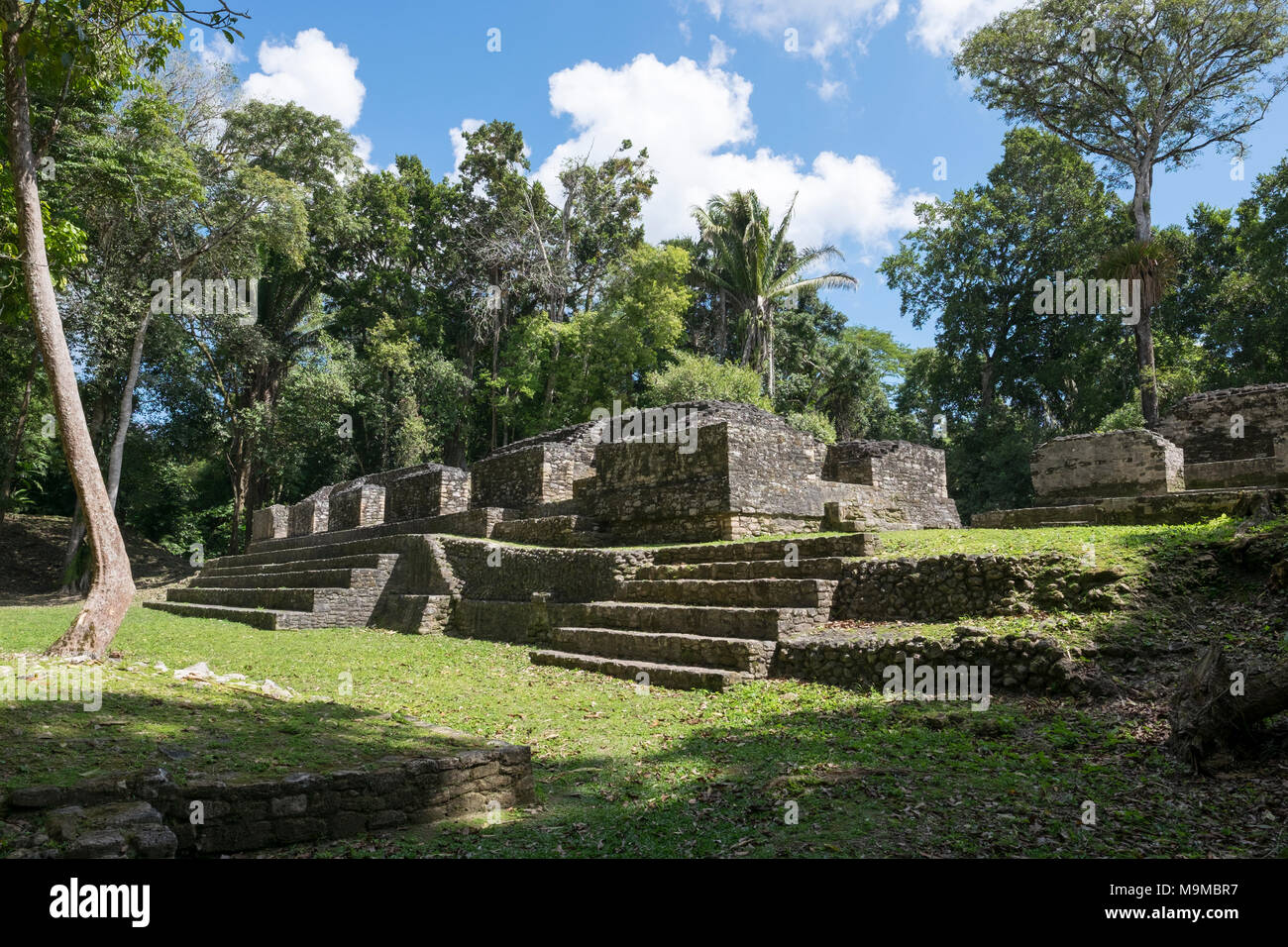 Les temples et les ruines mayas de Caracol, Belize Banque D'Images