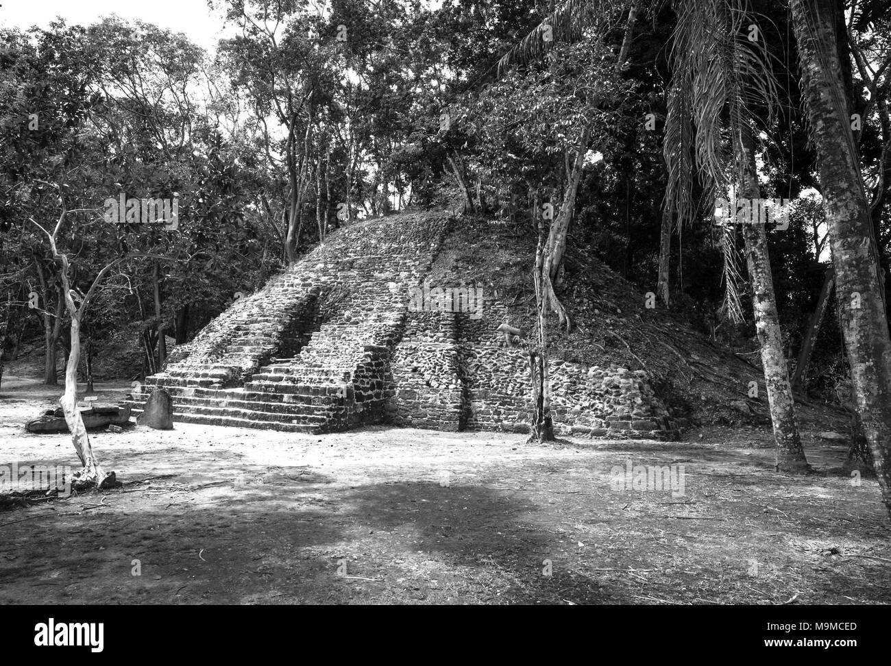 Ruines de temples Mayas et les structures en Xunantunich, Belize Banque D'Images