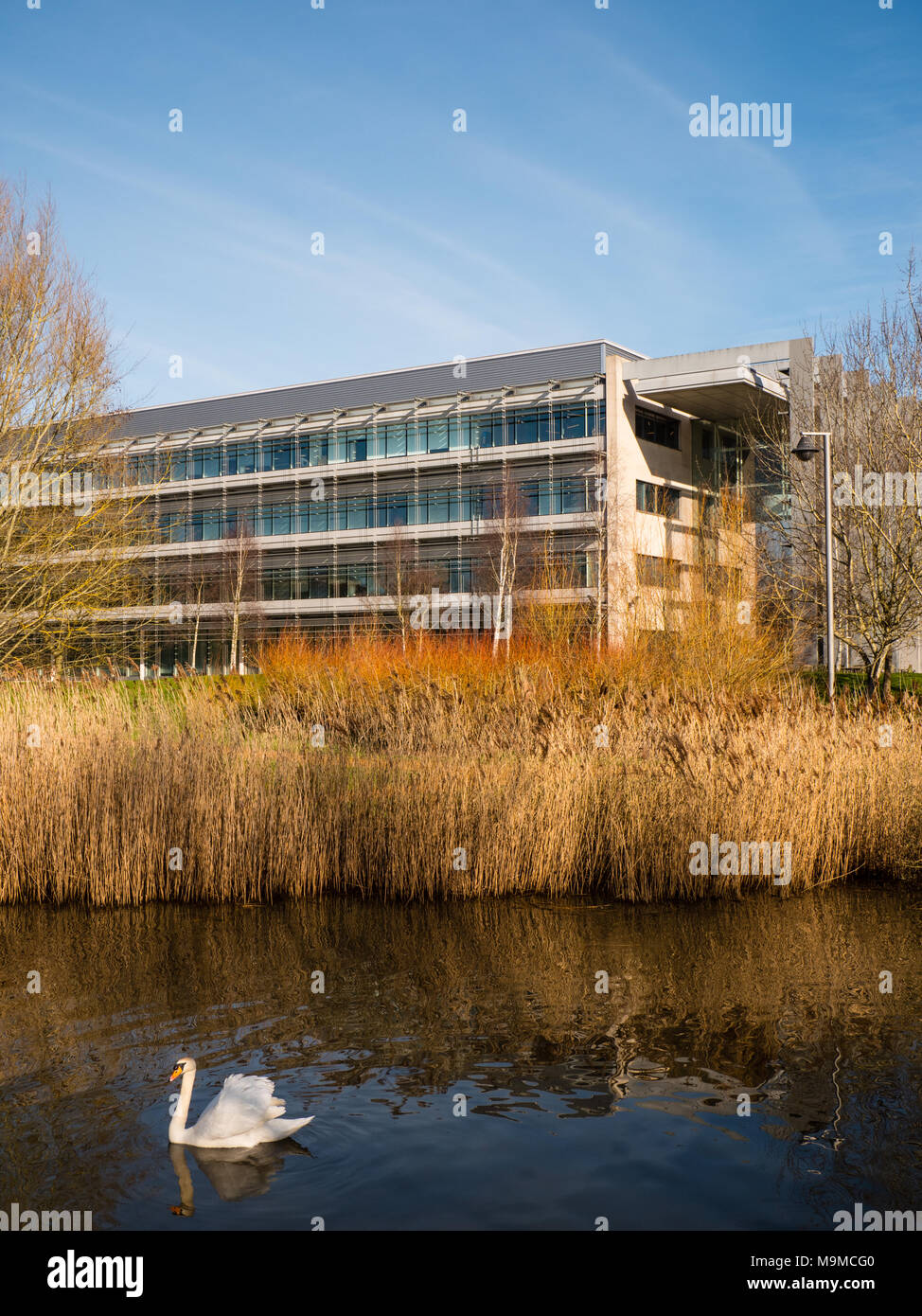 Cisco Systems Ltd, Green Park Business Park, Reading, Berkshire, Angleterre, Royaume-Uni. Banque D'Images