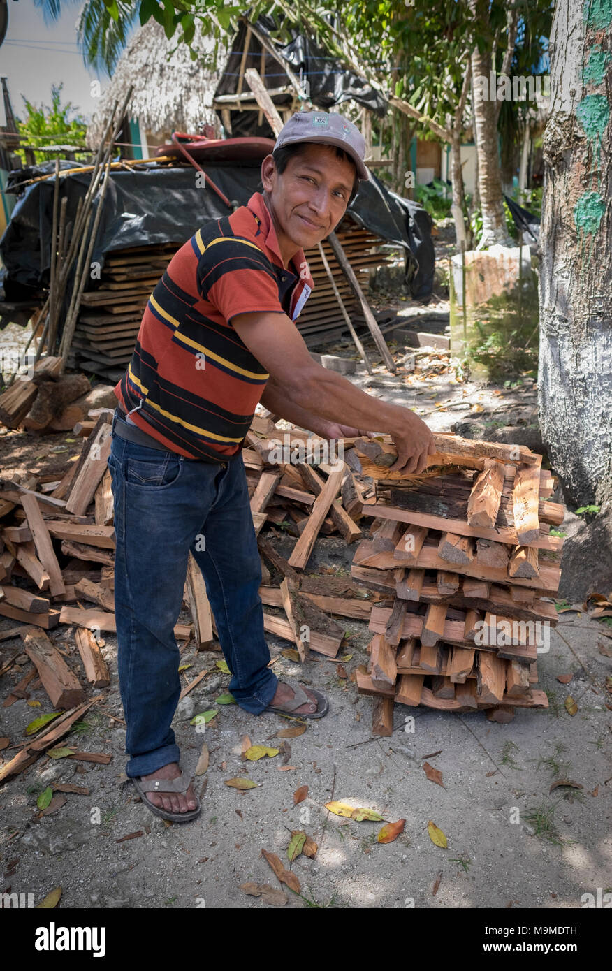 Homme maya rassemble du bois pour cuisiner à Uaxactun, Guatemala Banque D'Images