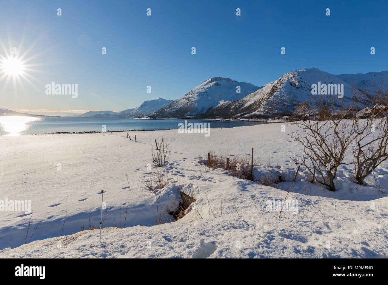 D'hiver panoramique vue sur fjord et montagnes enneigées de Kongsvika, Nordland, Norvège, avec des rayons du soleil et des reflets. Banque D'Images