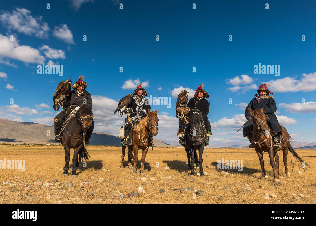Eagle mongole sur les chevaux des chasseurs dans le désert, en Mongolie Banque D'Images