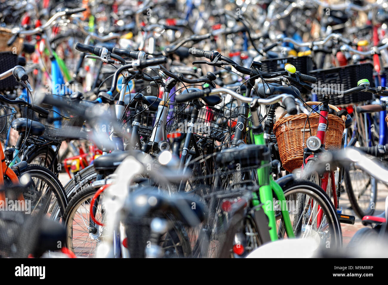 Parking vélos surpeuplés, Langeoog, îles de la Frise orientale, Allemagne Banque D'Images
