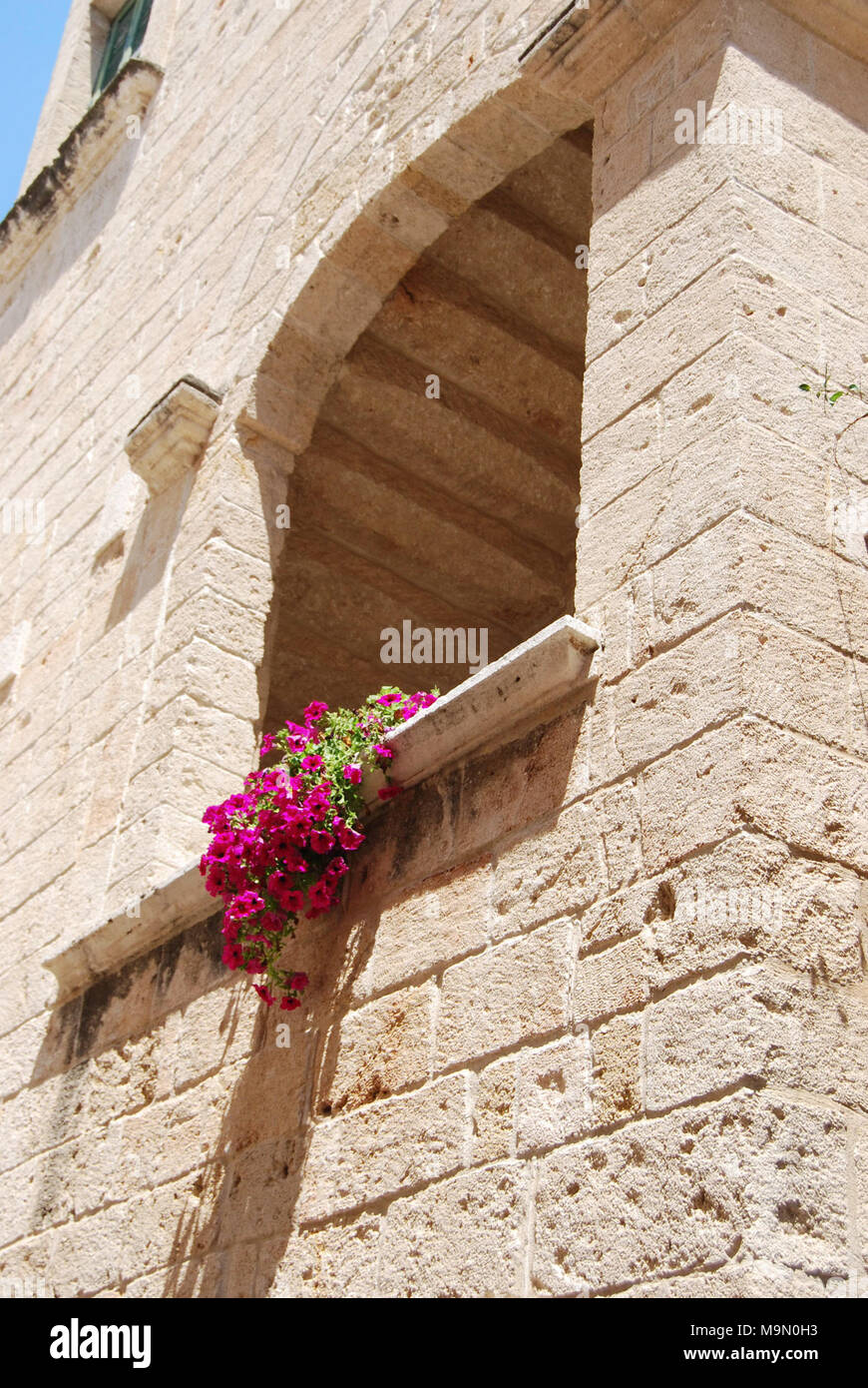 Maisons typiques avec fleurs de pétunias roses à Polignano a Mare - Italie Banque D'Images