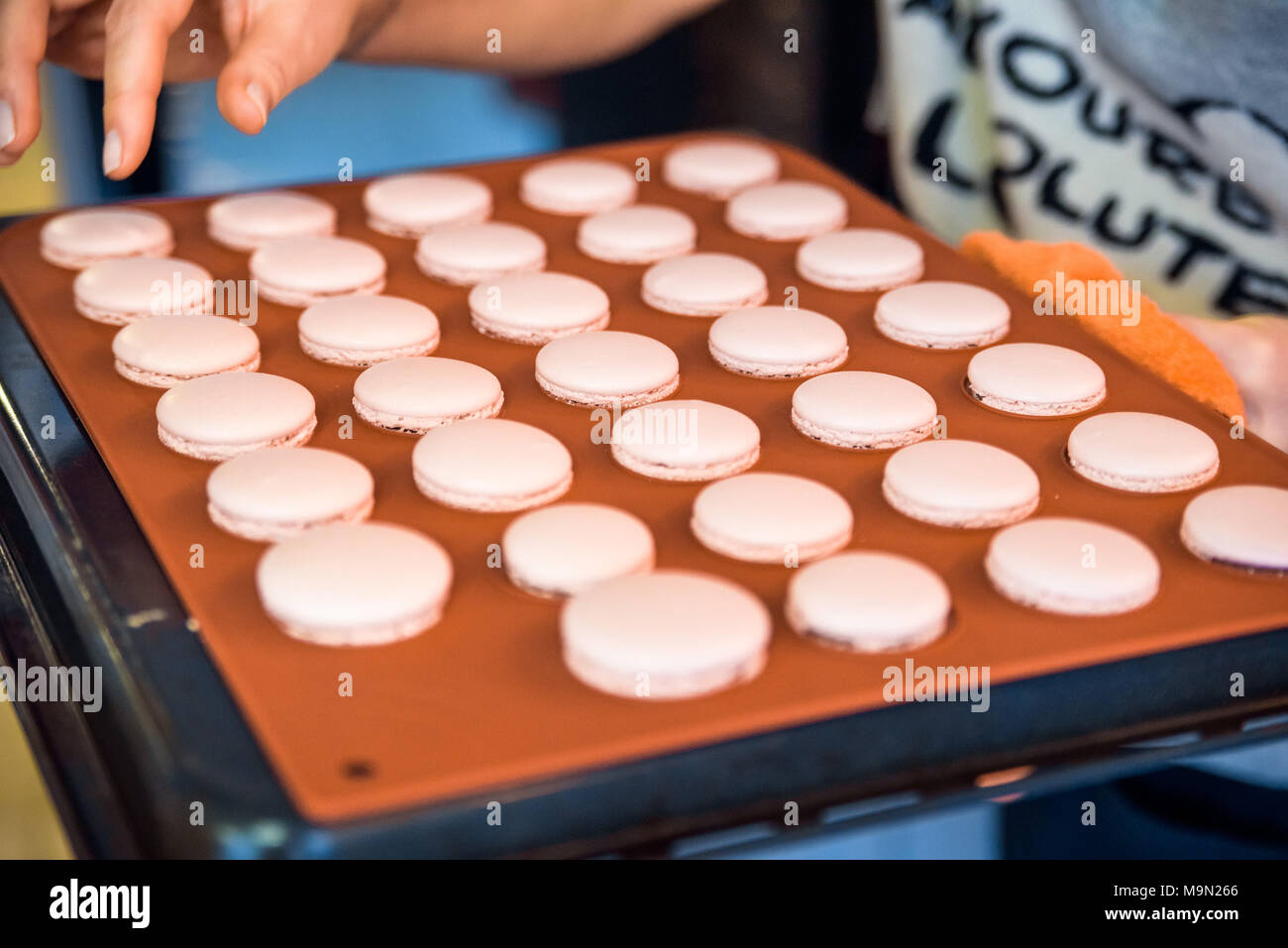 Image main de femme libre de mettre les cookies macrons français sur le plat Banque D'Images