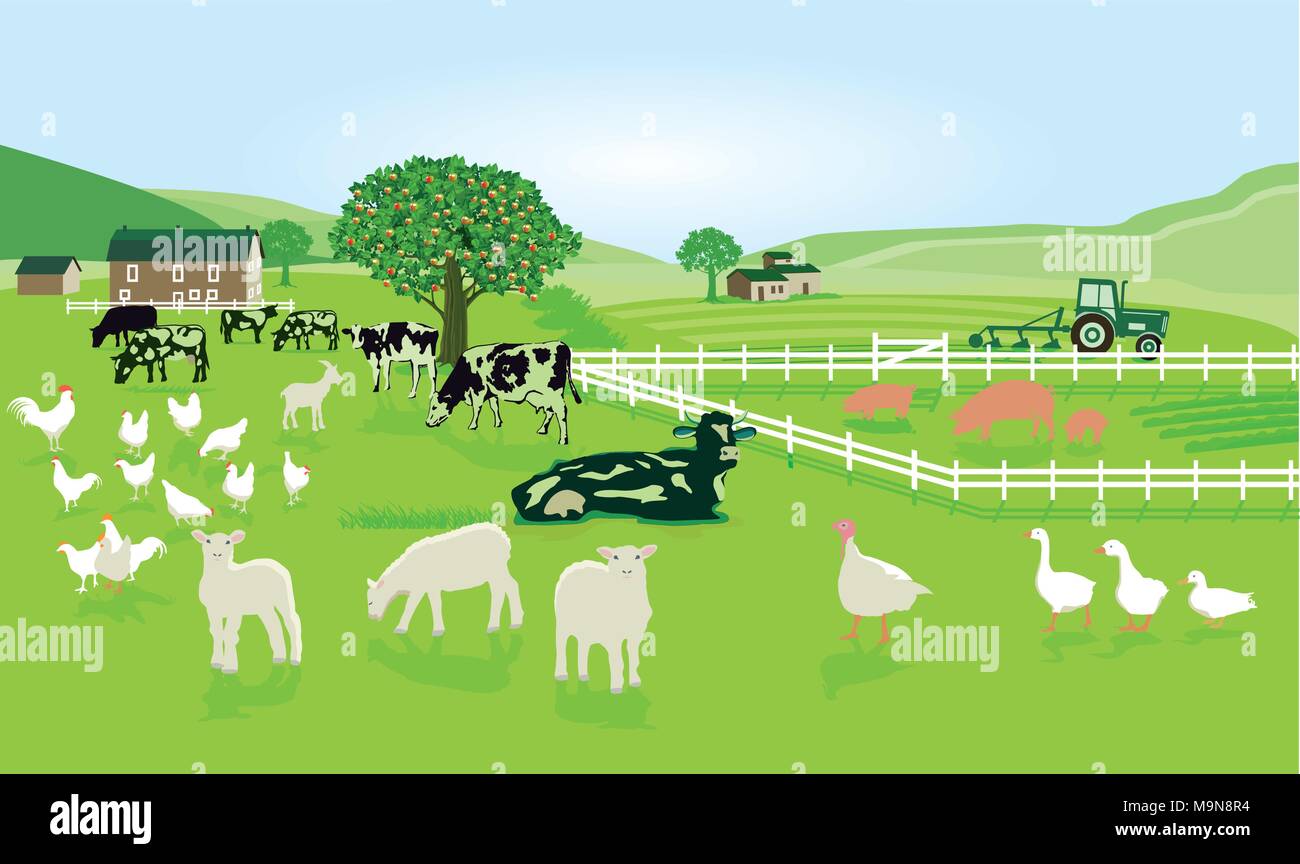 Avec l'élevage des animaux dans l'Alpage Illustration de Vecteur