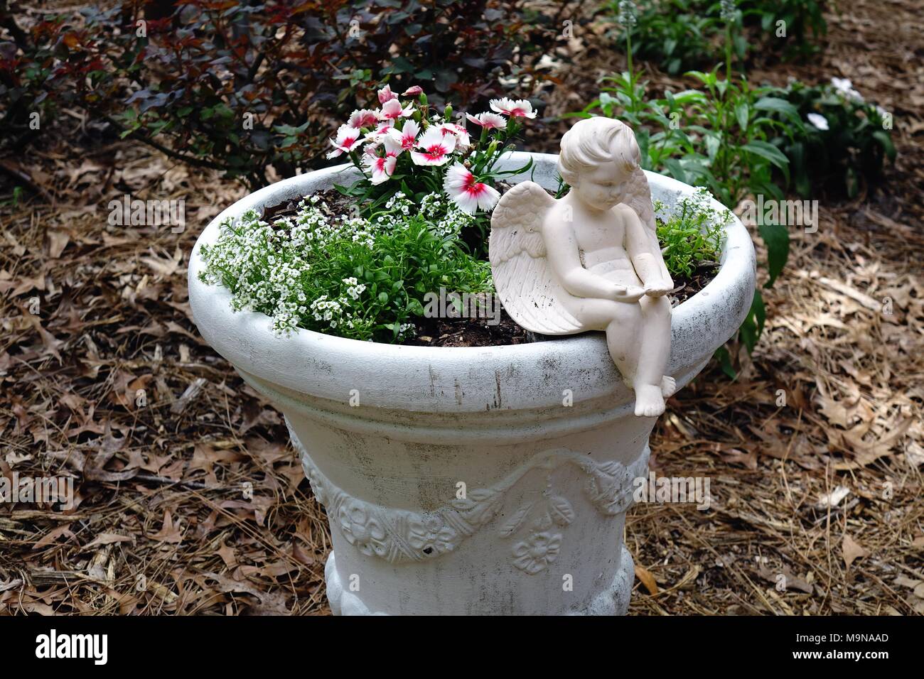 Jardins botaniques de la côte de la nature. Pot de jardin de plantes, de fleurs et d'un ange sculpture Banque D'Images