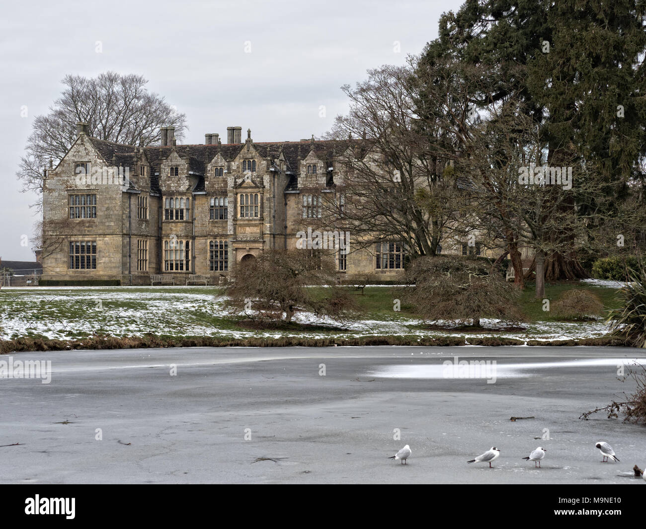 Wakehurst Place, Maison & Jardin botanique de l'hiver Banque D'Images