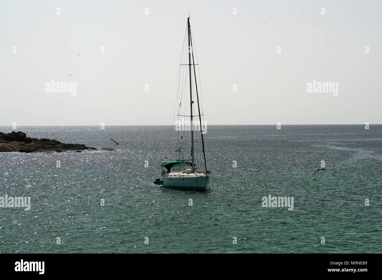 Belles îles des Caraïbes. Archipiélago Los Testigos Banque D'Images