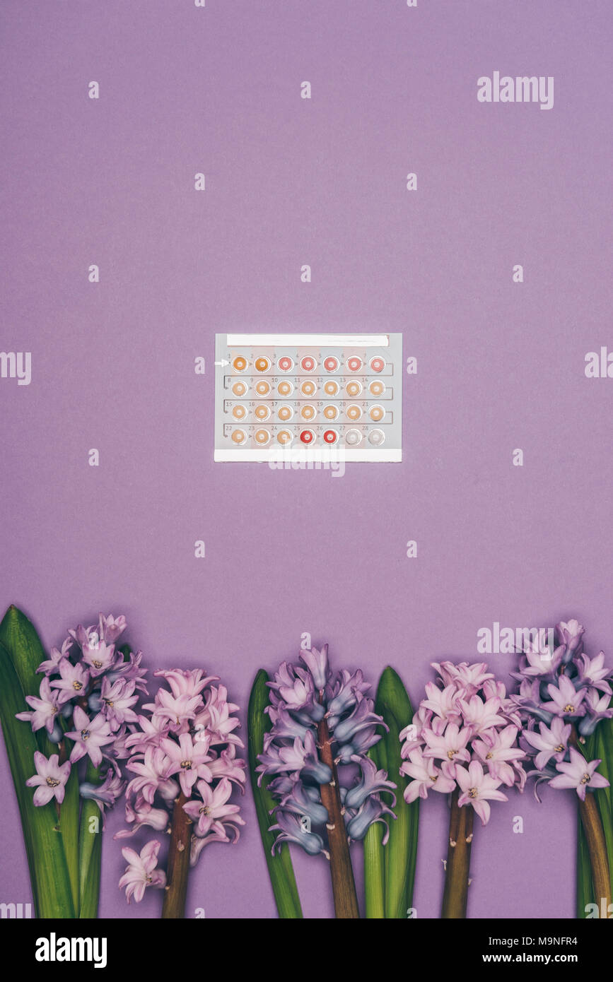 Vue de dessus de la pilule contraceptive et jacinthes fleurs isolé sur purple Banque D'Images