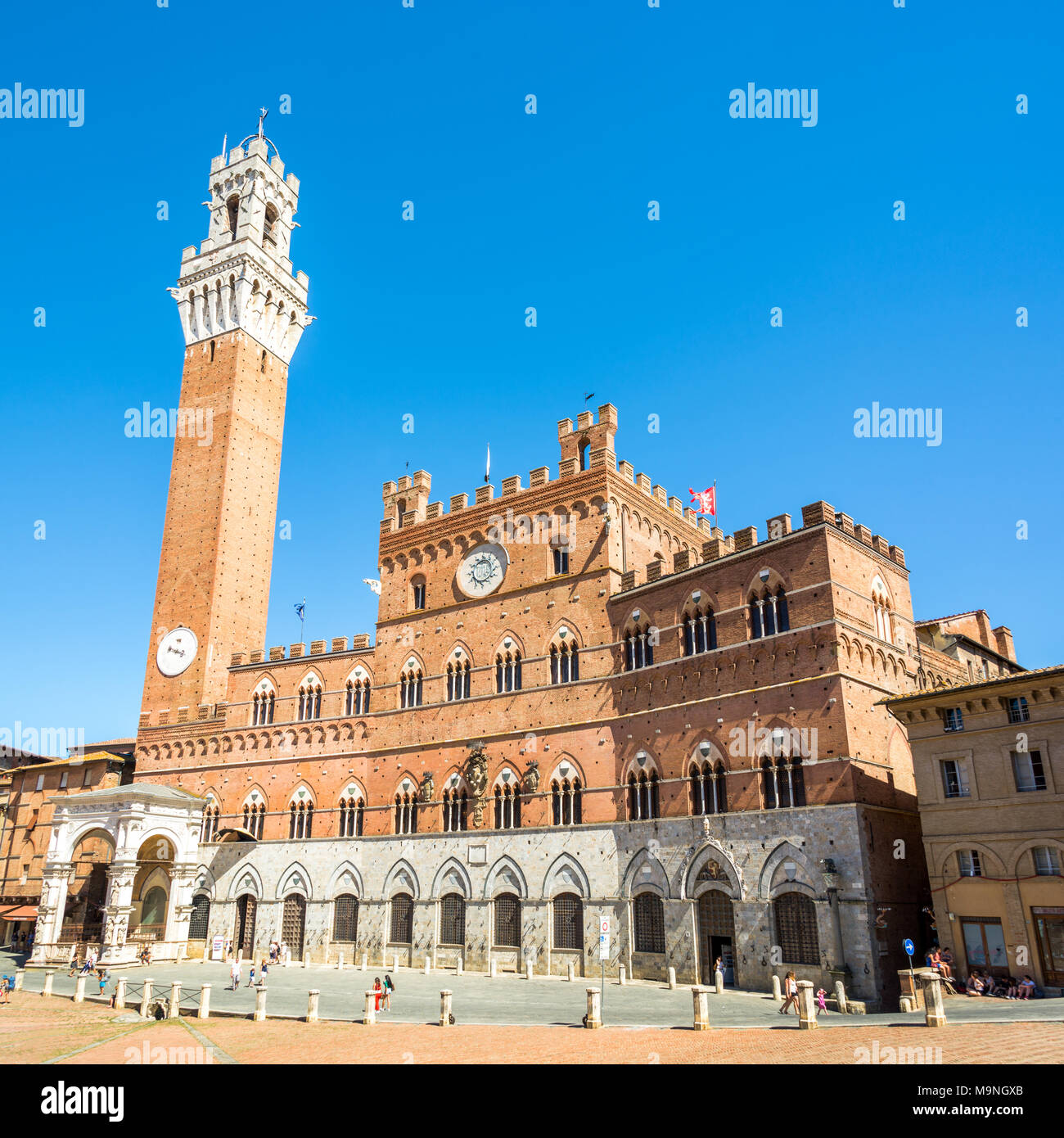 Palazzo Pubblico et la Torre del Mangia (Tour du Mangia) à Sienne, Toscane, Italie Banque D'Images