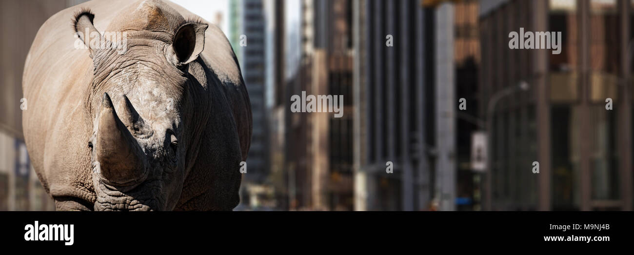 Image composite de rhinoceros debout sur un terrain poussiéreux Banque D'Images