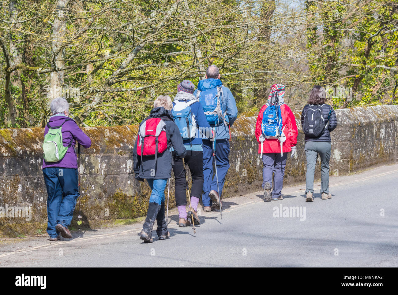 Groupe de personnes âgées personnes prenant un pays à pied au printemps transportant des sacs à dos au Royaume-Uni. Banque D'Images