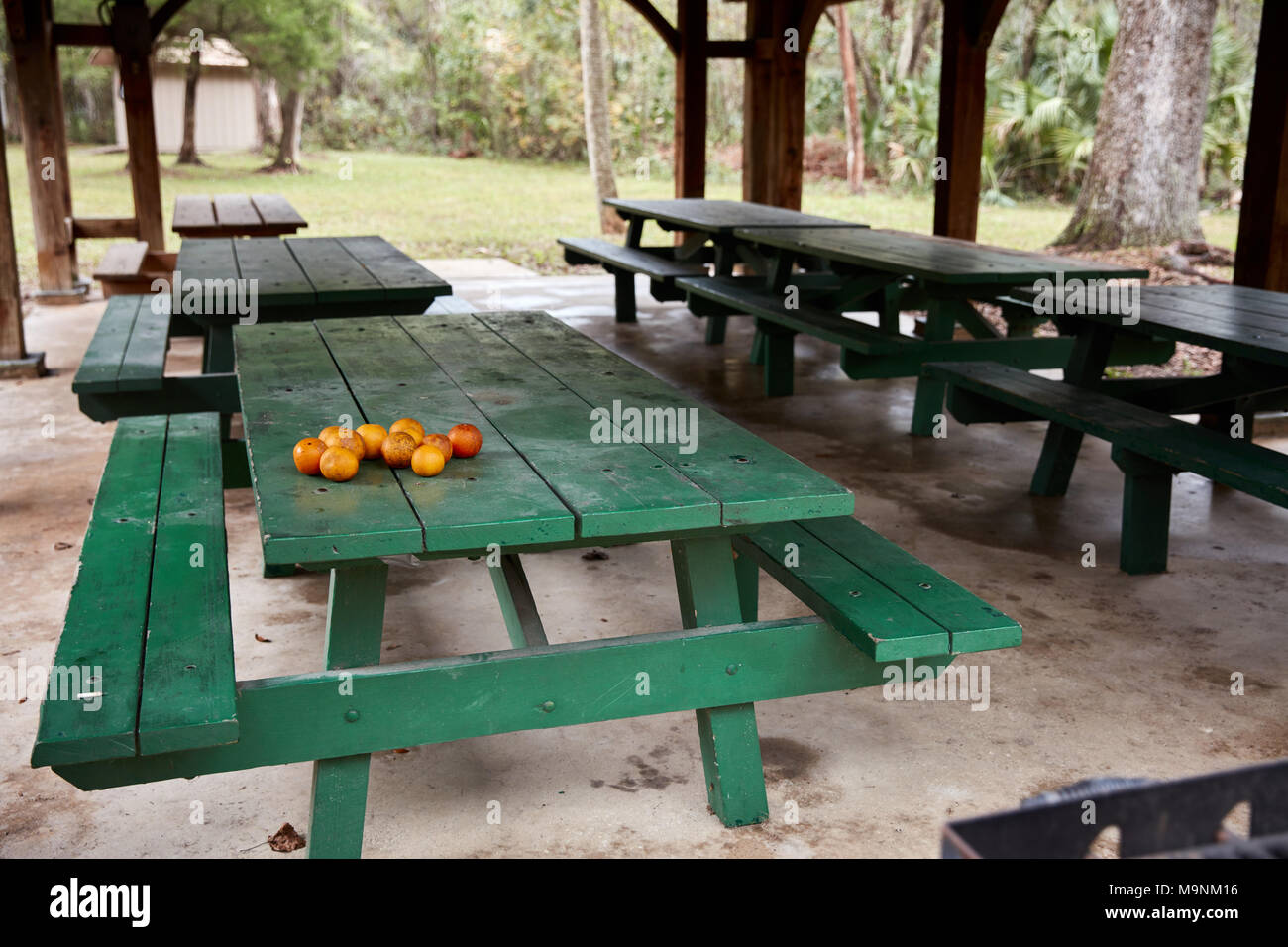 Un groupe d'oranges assis sur une table de pique-nique à Yulee Sugar Mill Ruins Historic State Park Banque D'Images