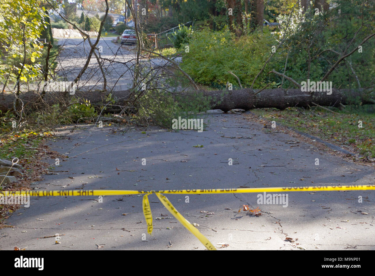 Ruban adhésif jaune avertissement de ne pas traverser une zone dangereuse de cordes où un grand arbre et des fils électriques sont tombés vers le bas à travers une route de quartier Banque D'Images