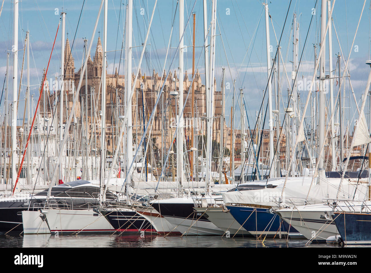 Bateaux et yachts à voile dans le port de Palma de Mallorca, Majorque, Iles des Baleraic, vue de la cathédrale de Palma La Seu Banque D'Images
