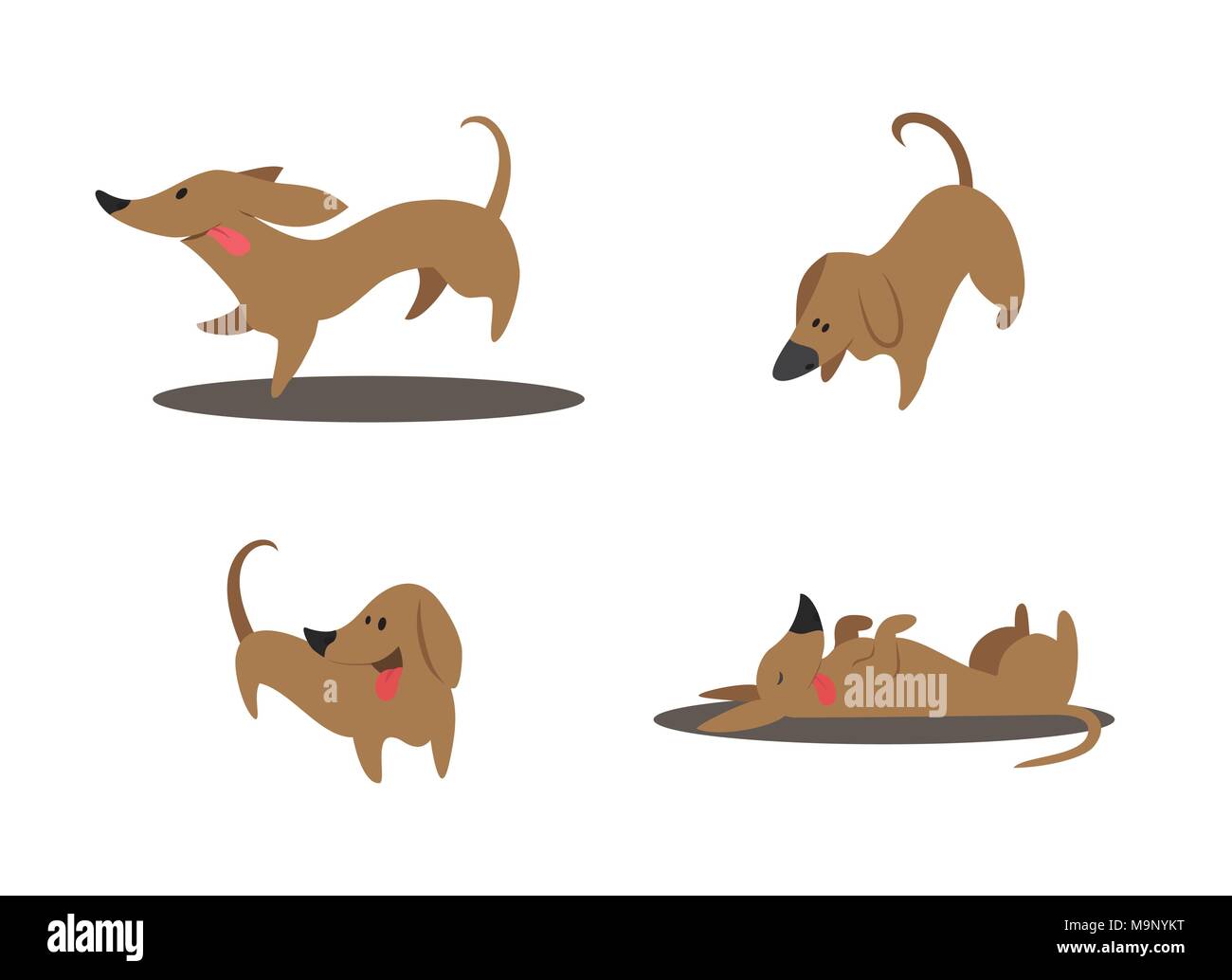 Cute dachshund dog ensemble d'illustrations vectorielles Illustration de Vecteur