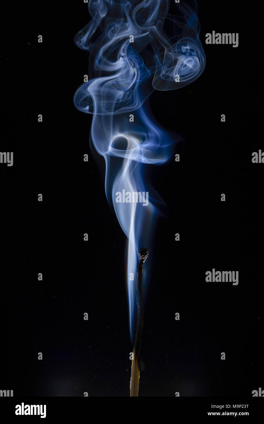 Match brûlé avec de la fumée bleue à l'avant d'un arrière-plan sombre, studio shot Banque D'Images