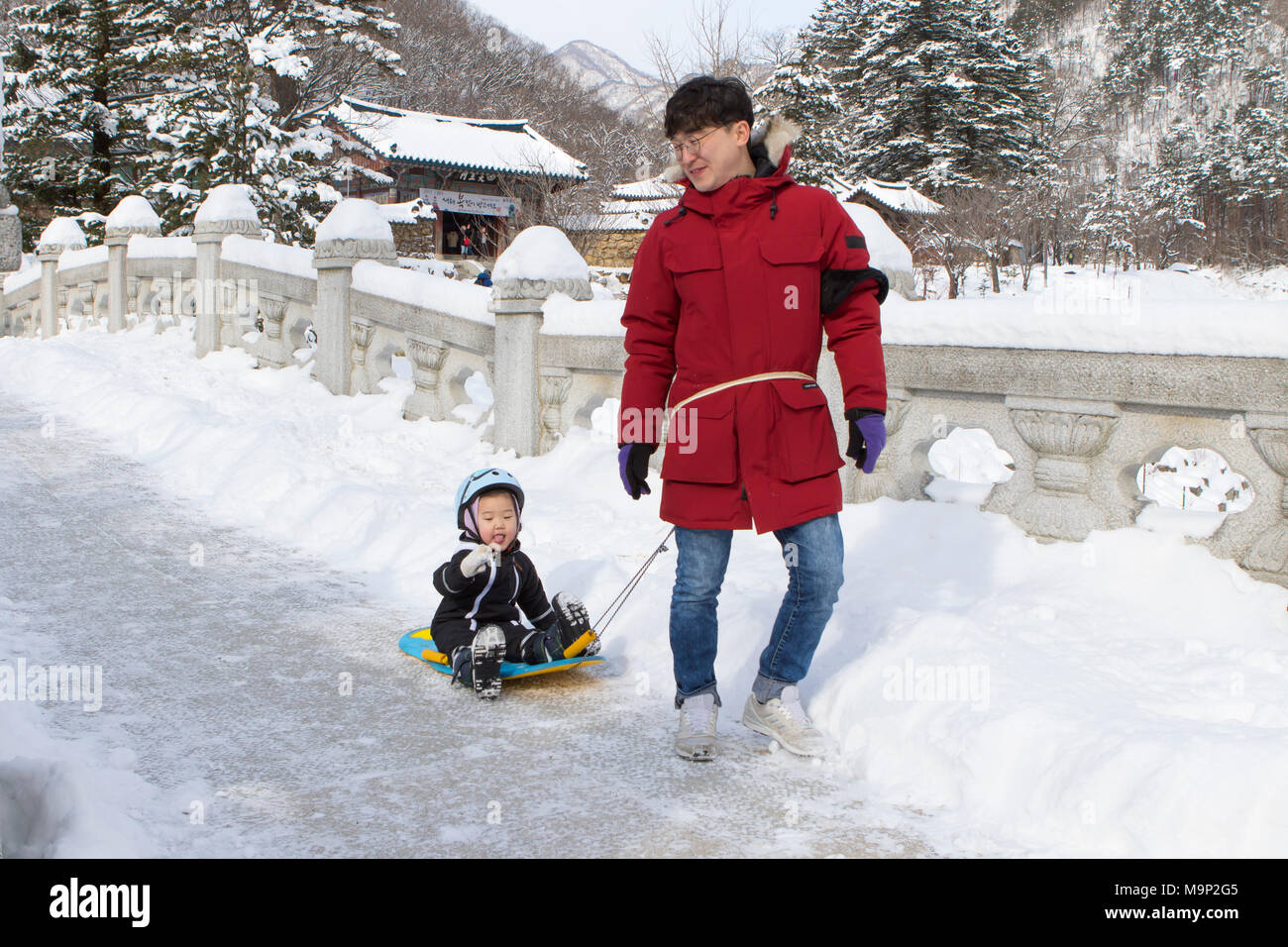 Un père est son enfant de remorquage sur un traîneau sur un pont de pierre dans la forêt enneigée du Parc National de Seoraksan, Gangwon-do, Corée du Sud. Dans l'arrière-plan d'un temple bouddhiste. Seoraksan est une belle et célèbre parc national dans les montagnes près de Cavaillon dans la région du Gangwon-do en Corée du Sud. Le nom fait référence à Snowy Mountains Crags. Situé dans le paysage sont deux temples Bouddhistes : Sinheung-sa et Beakdam-sa. Cette région accueille les Jeux Olympiques d'hiver en février 2018. Banque D'Images