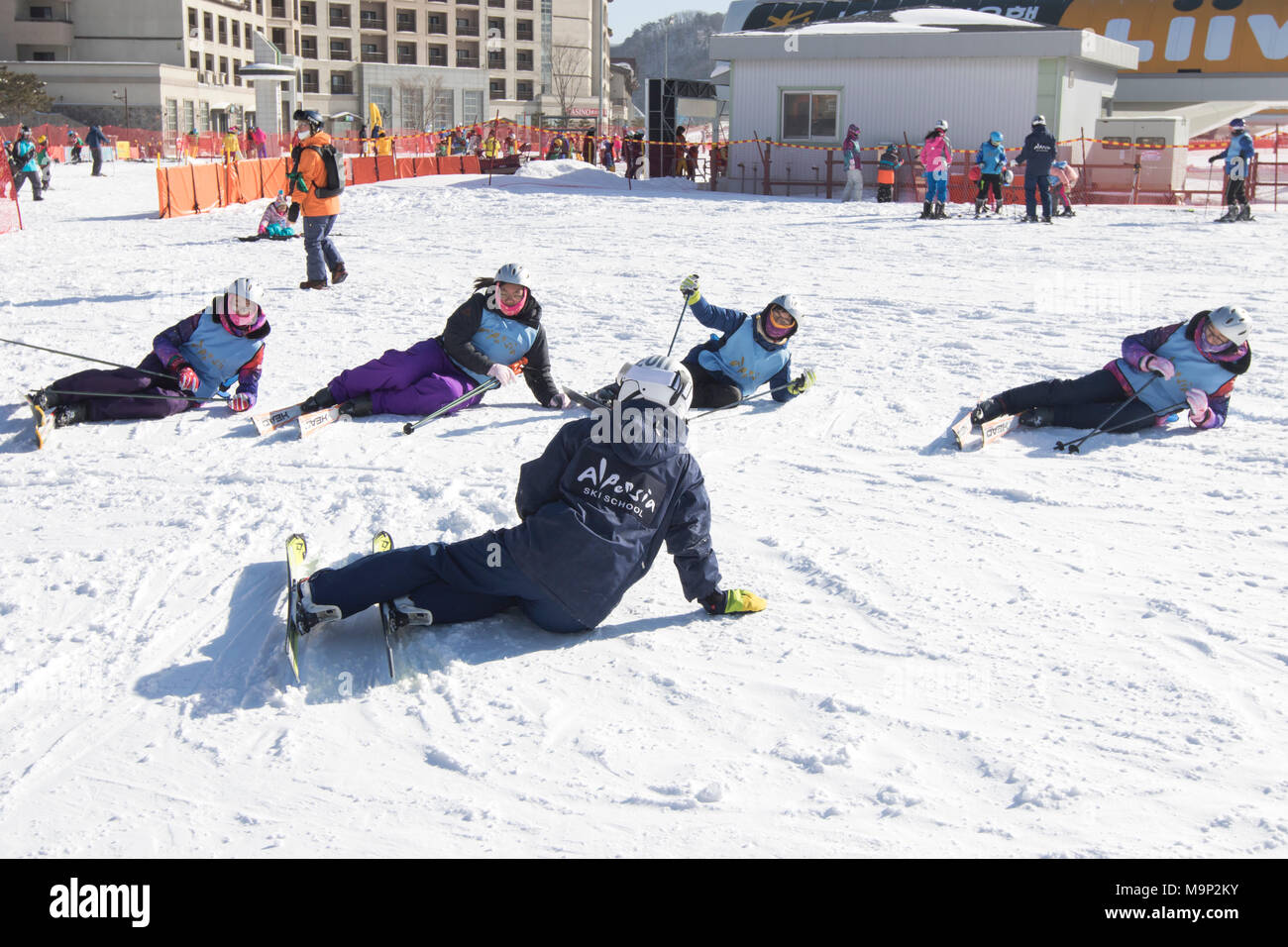 Quatre femmes apprennent à se tenir debout après avoir chuté alors que le ski, dans l'Alpensia resort dans la région du Gangwon-do en Corée du Sud. L'Alpensia Resort est une station de ski et une attraction touristique. Il est situé sur le territoire du canton de Daegwallyeong-myeon, dans le comté de Pyeongchang, hébergeant les Jeux Olympiques d'hiver en février 2018. La station de ski est à environ 2,5 heures à partir de l'aéroport d'Incheon à Séoul ou en voiture, tous principalement d'autoroute. Alpensia possède six pistes de ski et snowboard, avec fonctionne jusqu'à 1.4 km (0,87 mi) long, pour les débutants et les skieurs avancés, et une zone Banque D'Images