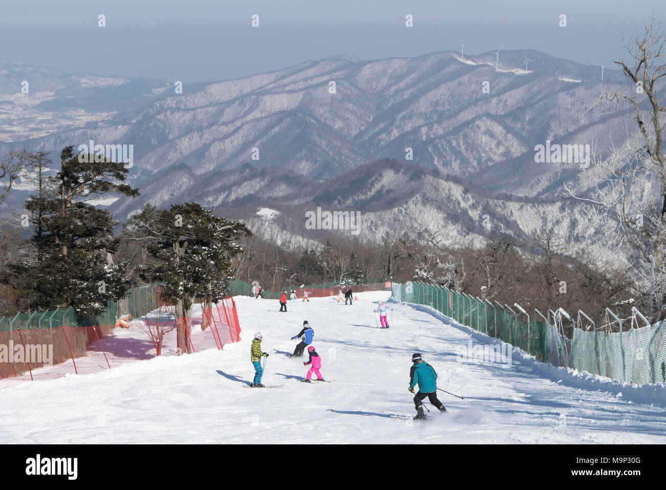 Un regard vers le bas le Rainbow Paradise fonctionner à Yongpyong resort, qui est la descente olympique pour les Jeux d'hiver de 2018. Yongpyong (Dragon Valley) Ski Resort est une station de ski en Corée du Sud, situé dans la région de Daegwallyeong-myeon, Pyeongchang, Gangwon-do. C'est la plus grande station de ski et snowboard en Corée. Technique de Yongpyong accueillera les épreuves de ski alpin pour les Jeux olympiques et paralympiques d'hiver de 2018 à Pyeongchang. Certaines scènes de la Korean Broadcasting System 2002 drama Winter Sonata ont été tournées dans la station. Banque D'Images