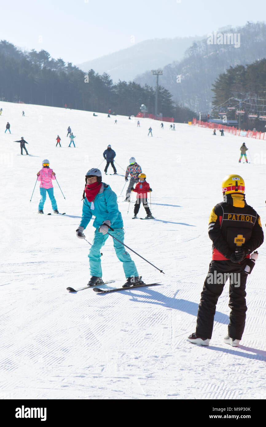 Un pisteur est à regarder le lapin pente à Yongpyong, prévenir les accidents de se produire. Yongpyong (Dragon Valley) Ski Resort est une station de ski en Corée du Sud, situé dans la région de Daegwallyeong-myeon, Pyeongchang, Gangwon-do. C'est la plus grande station de ski et snowboard en Corée. Technique de Yongpyong accueillera les épreuves de ski alpin pour les Jeux olympiques et paralympiques d'hiver de 2018 à Pyeongchang. Certaines scènes de la Korean Broadcasting System 2002 drama Winter Sonata ont été tournées dans la station. Banque D'Images