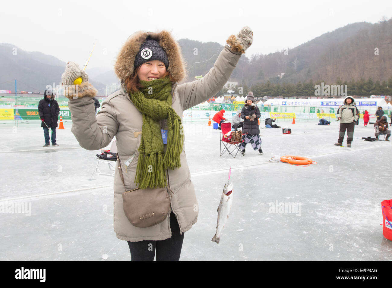 Heureusement une femme montre un poisson elle pris au cours de la pêche sur glace festival à Hwacheon Sancheoneo dans la région du Gangwon-do en Corée du Sud. L'Hwacheon Sancheoneo Ice Festival est une tradition pour les coréens. Chaque année en janvier les foules se rassemblent à la rivière gelée pour célébrer le froid et la neige de l'hiver. L'attraction principale est la pêche sur glace. Jeunes et vieux attendent patiemment sur un petit trou dans la glace pour une truite de mordre. Dans des tentes qu'ils peuvent laisser les poissons grillés après qu'ils soient mangés. Parmi les autres activités sont la luge et le patinage sur glace. La proximité de la région de Pyeongchang accueillera les Jeux Olympiques d'hiver Banque D'Images