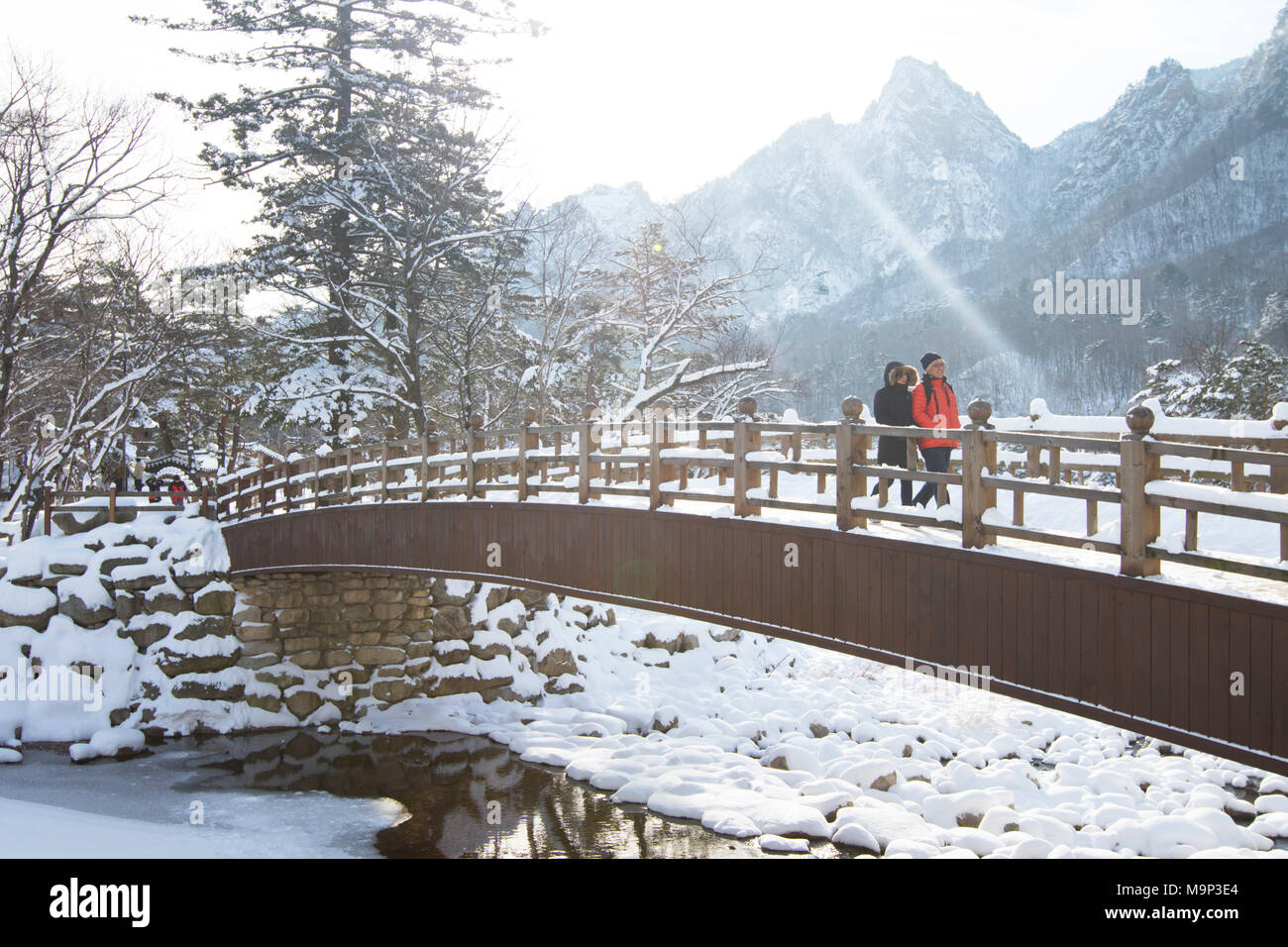 Un homme et une femme marchent sur un pont de bois dans le Parc National de Seoraksan, Gangwon-do, Corée du Sud. Seoraksan est une belle et célèbre parc national dans les montagnes près de Cavaillon dans la région du Gangwon-do en Corée du Sud. Le nom fait référence à Snowy Mountains Crags. Situé dans le paysage sont deux temples Bouddhistes : Sinheung-sa et Beakdam-sa. Cette région accueille les Jeux Olympiques d'hiver en février 2018. Banque D'Images