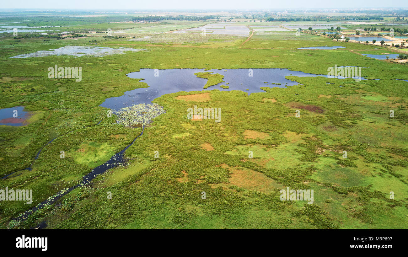 Vue aérienne de drone dans le lac Siem-Reap, Cambodge, avec bateau de pêcheur Banque D'Images