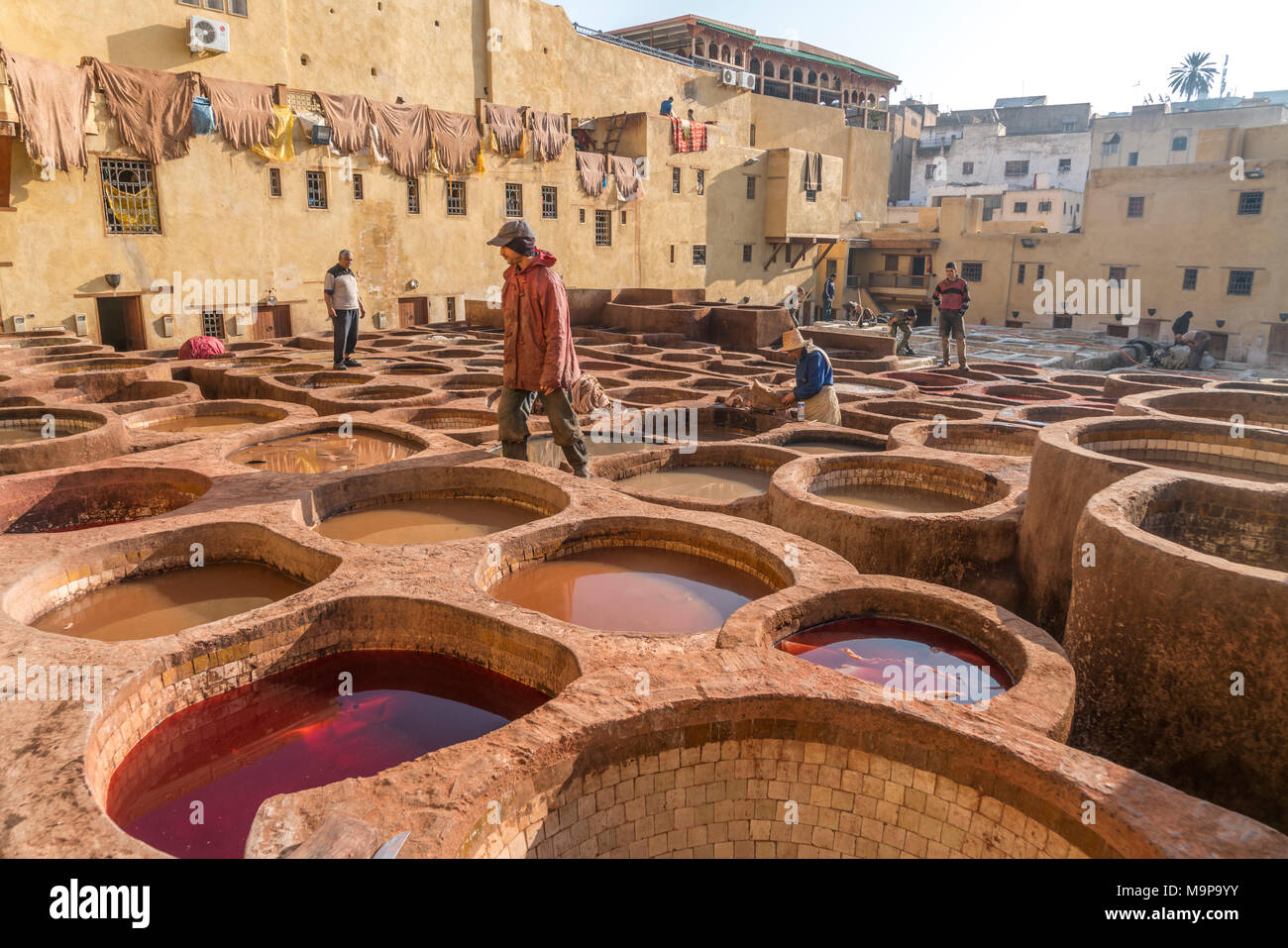 La teinture du cuir, des réservoirs de teinturerie, tannerie tannerie Chouara, Fes el Bali tannerie et teinturerie, FES, Maroc Banque D'Images